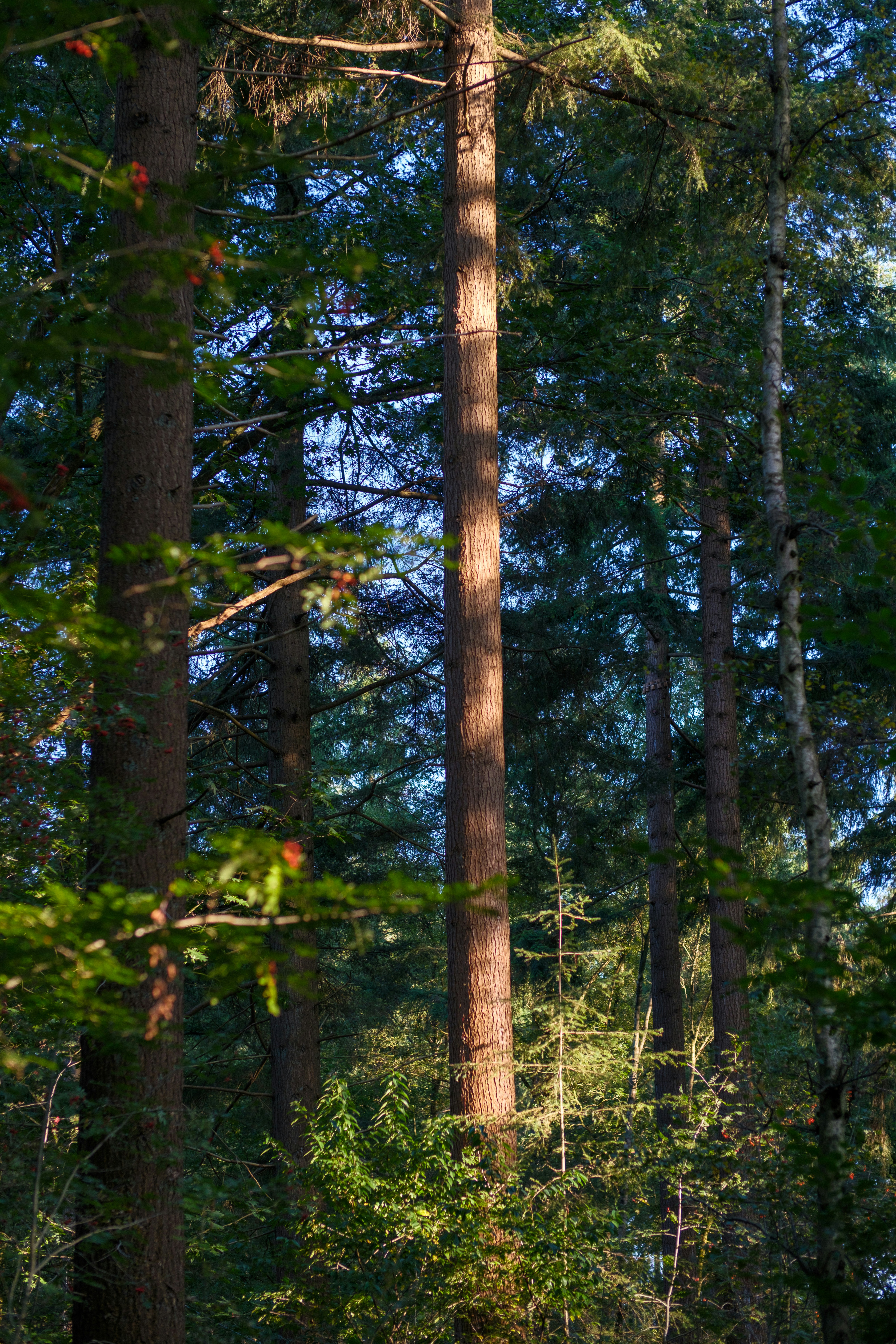 Photo by haberdoedas