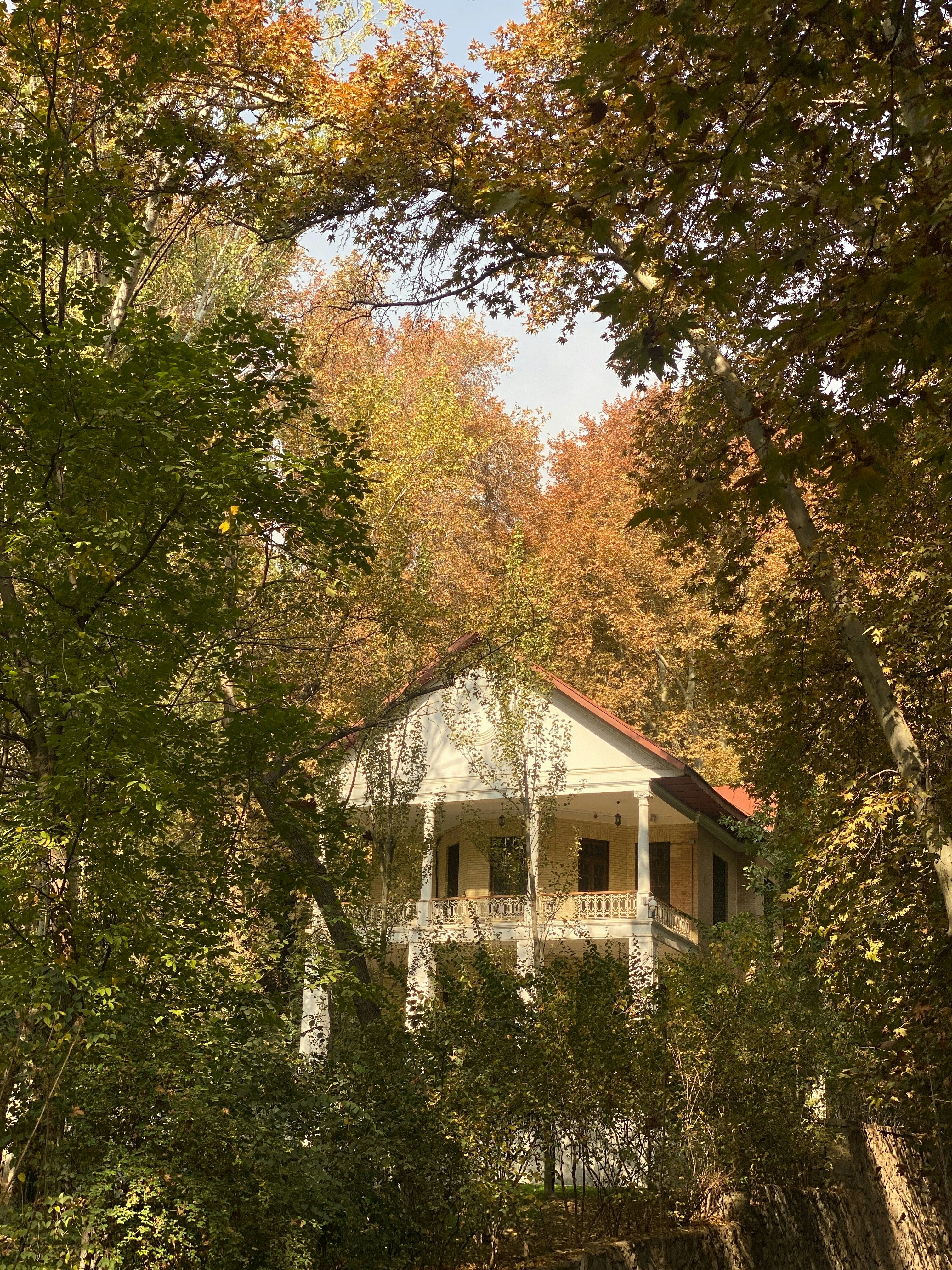 Photo by colorfullshadow