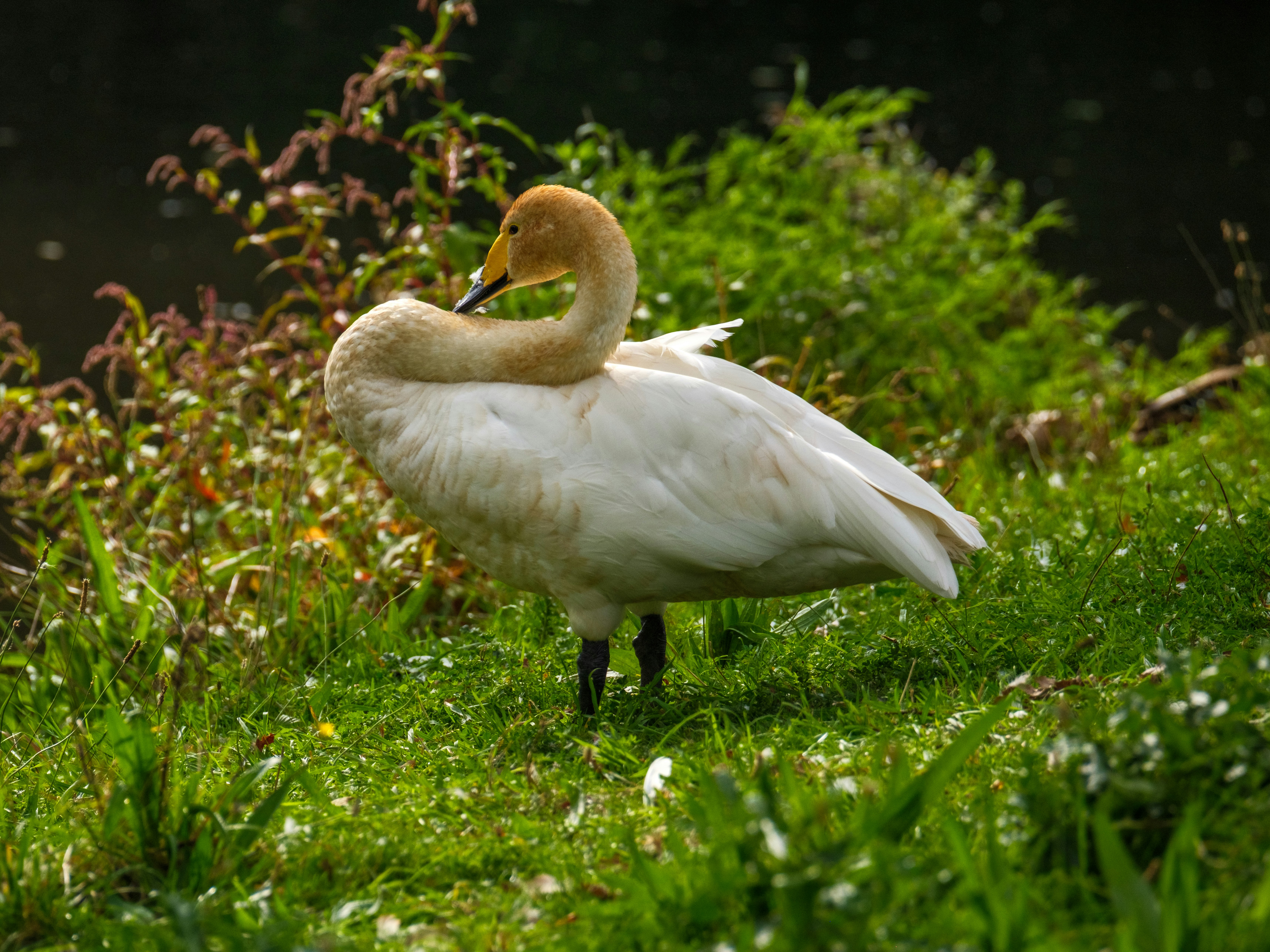 Photo by haberdoedas