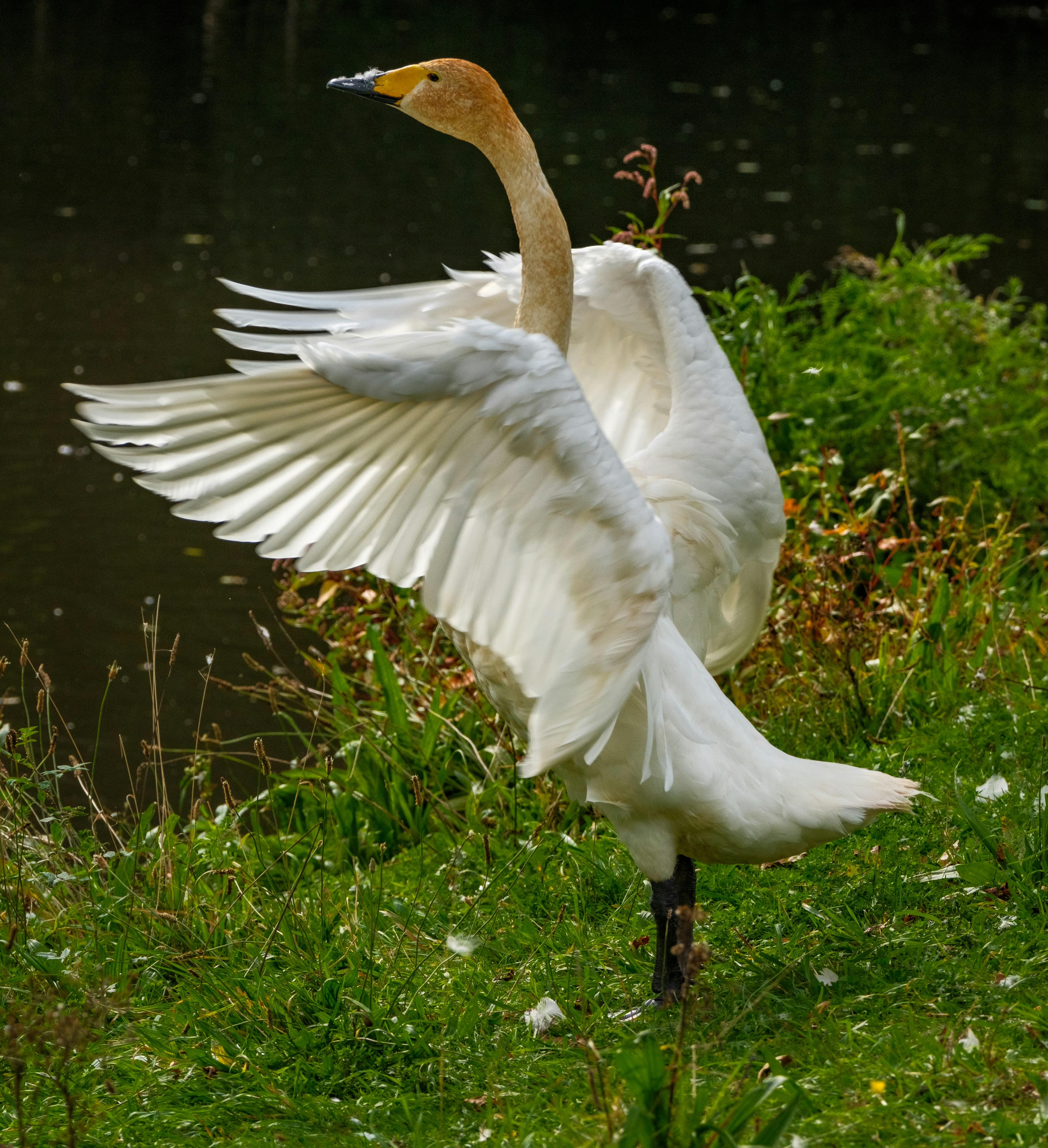 Photo by haberdoedas