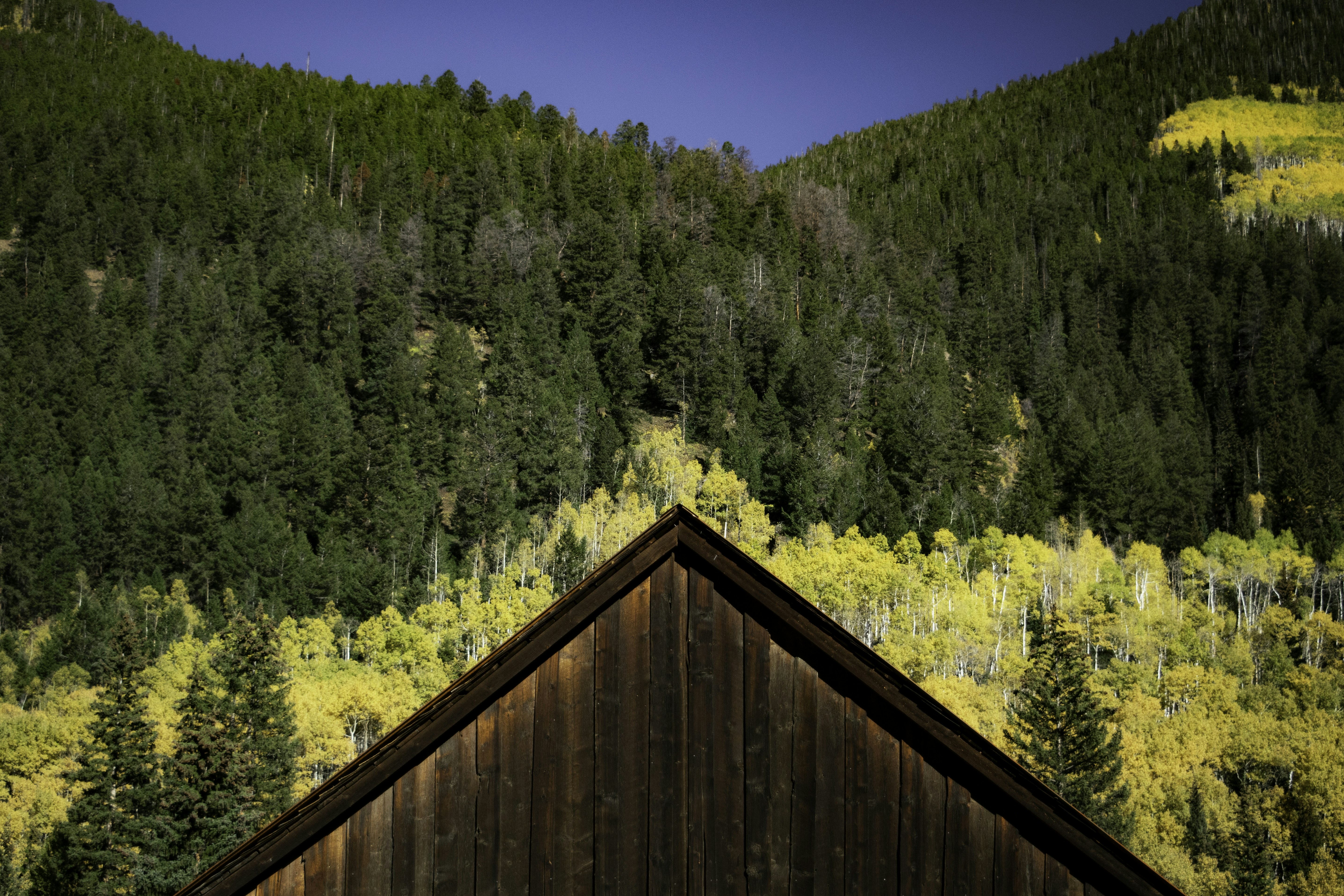 A cabin in the woods with a mountain in the background