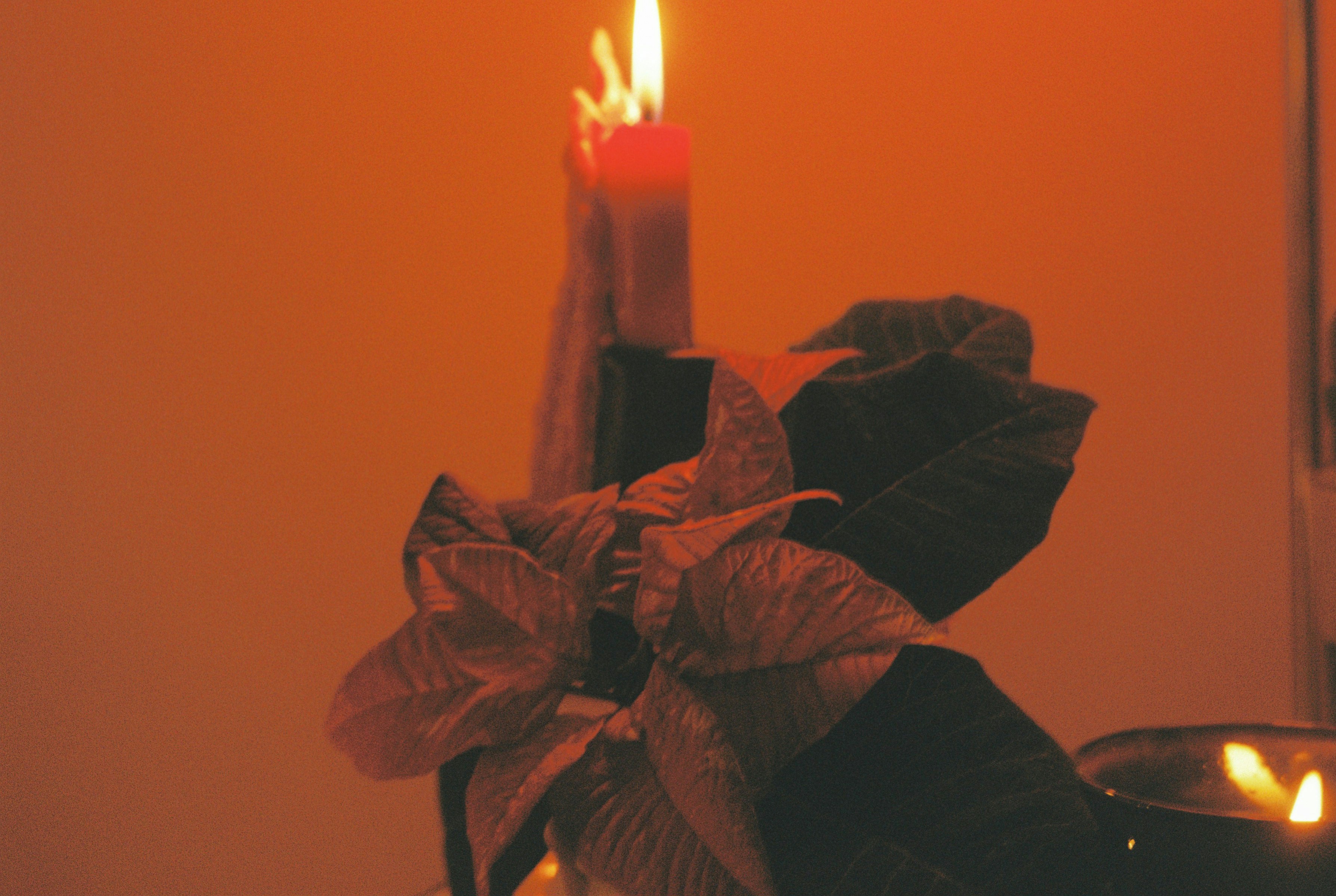 Remember Remember: Heartfelt 5th November Bonfire Night Wishes