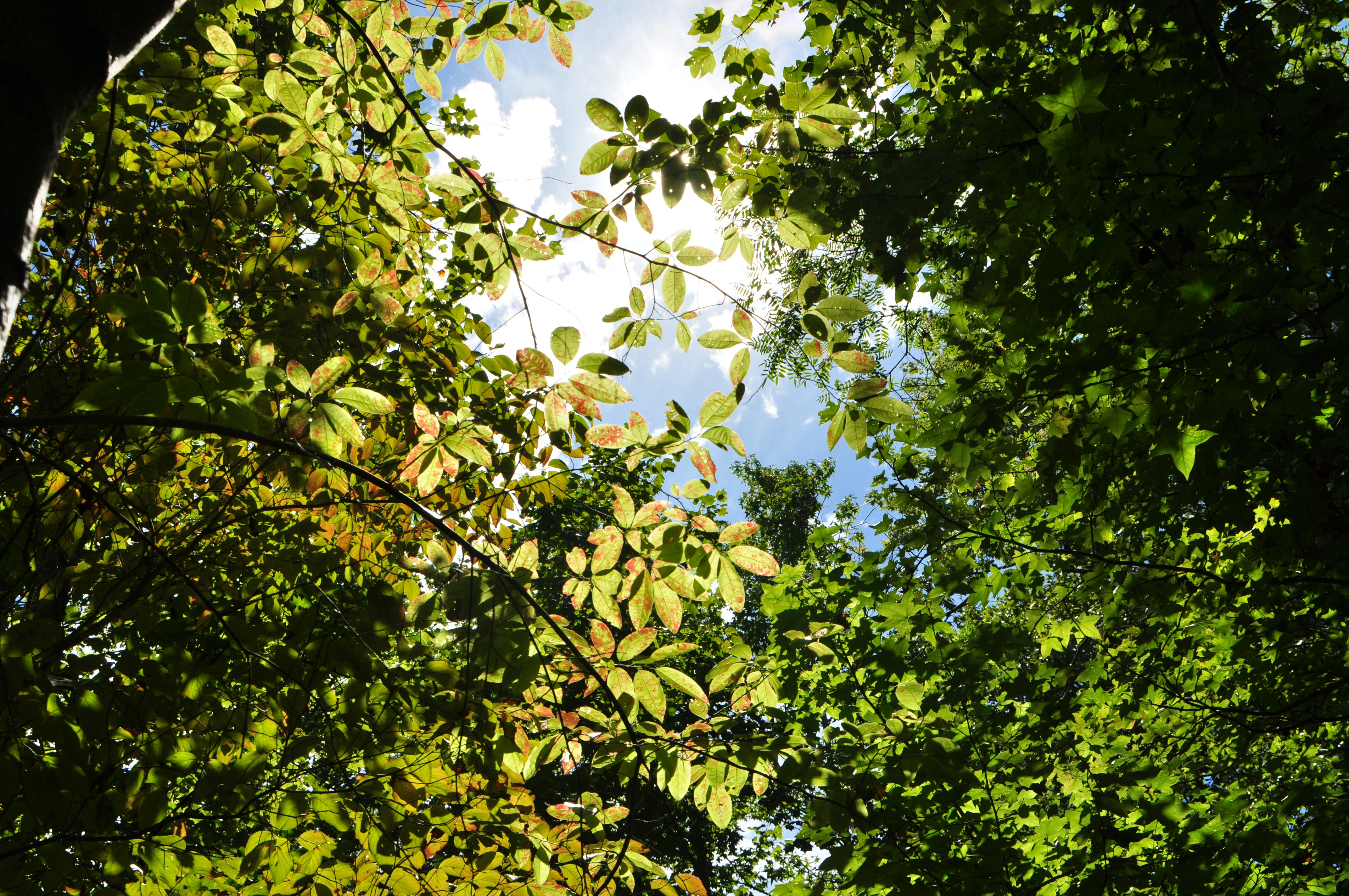 Photo by emmiebsmith