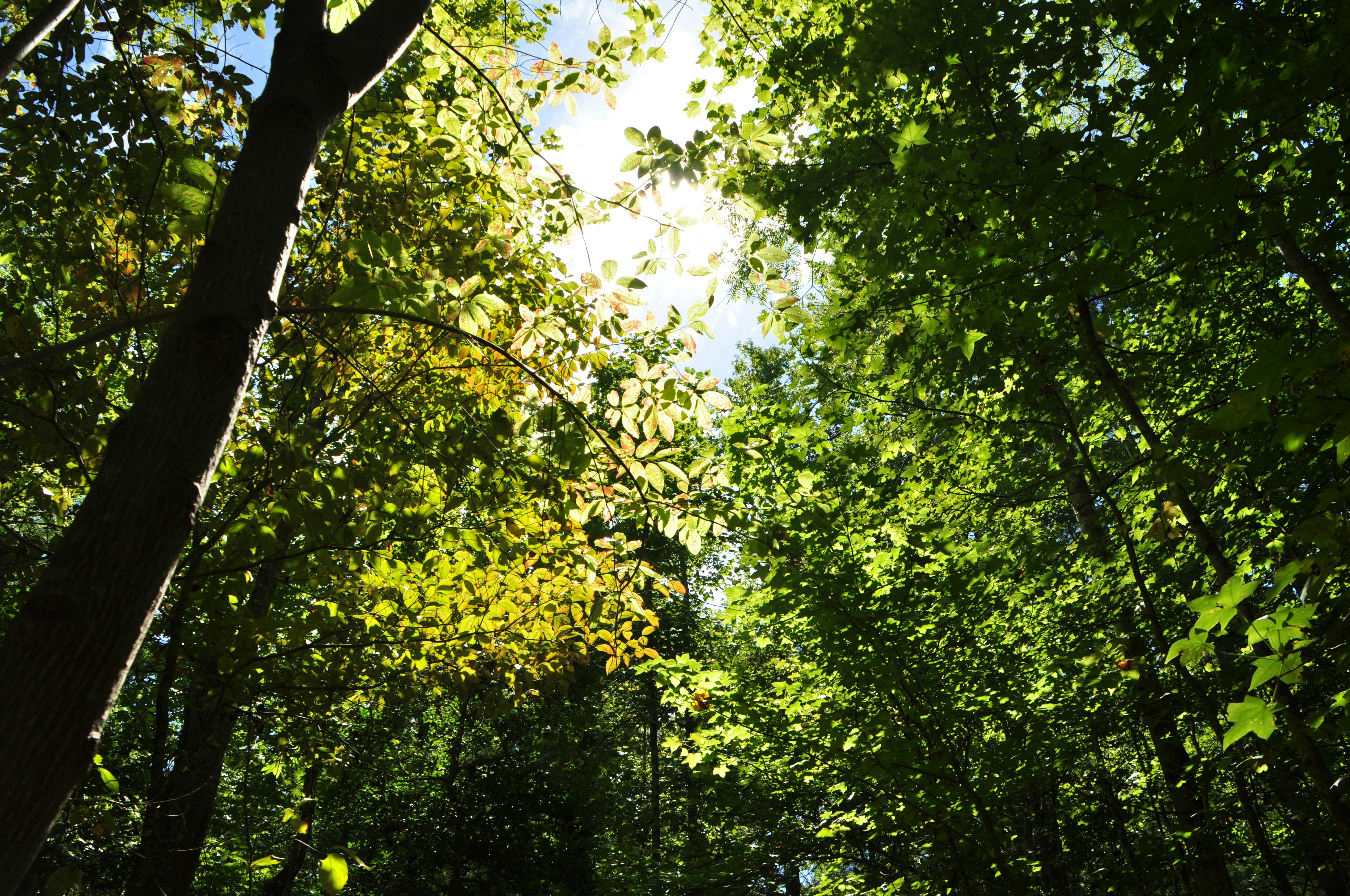 Photo by emmiebsmith