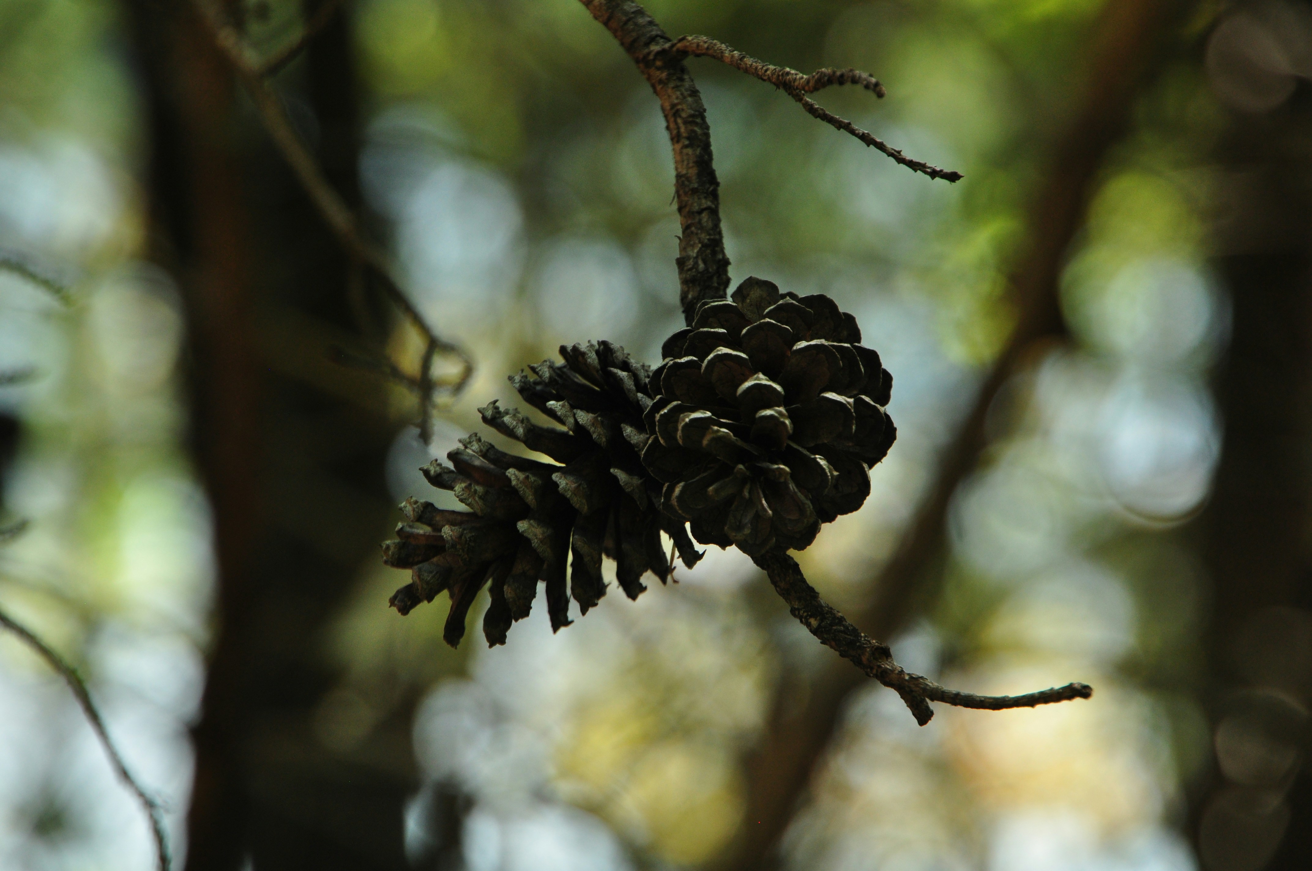 Photo by emmiebsmith