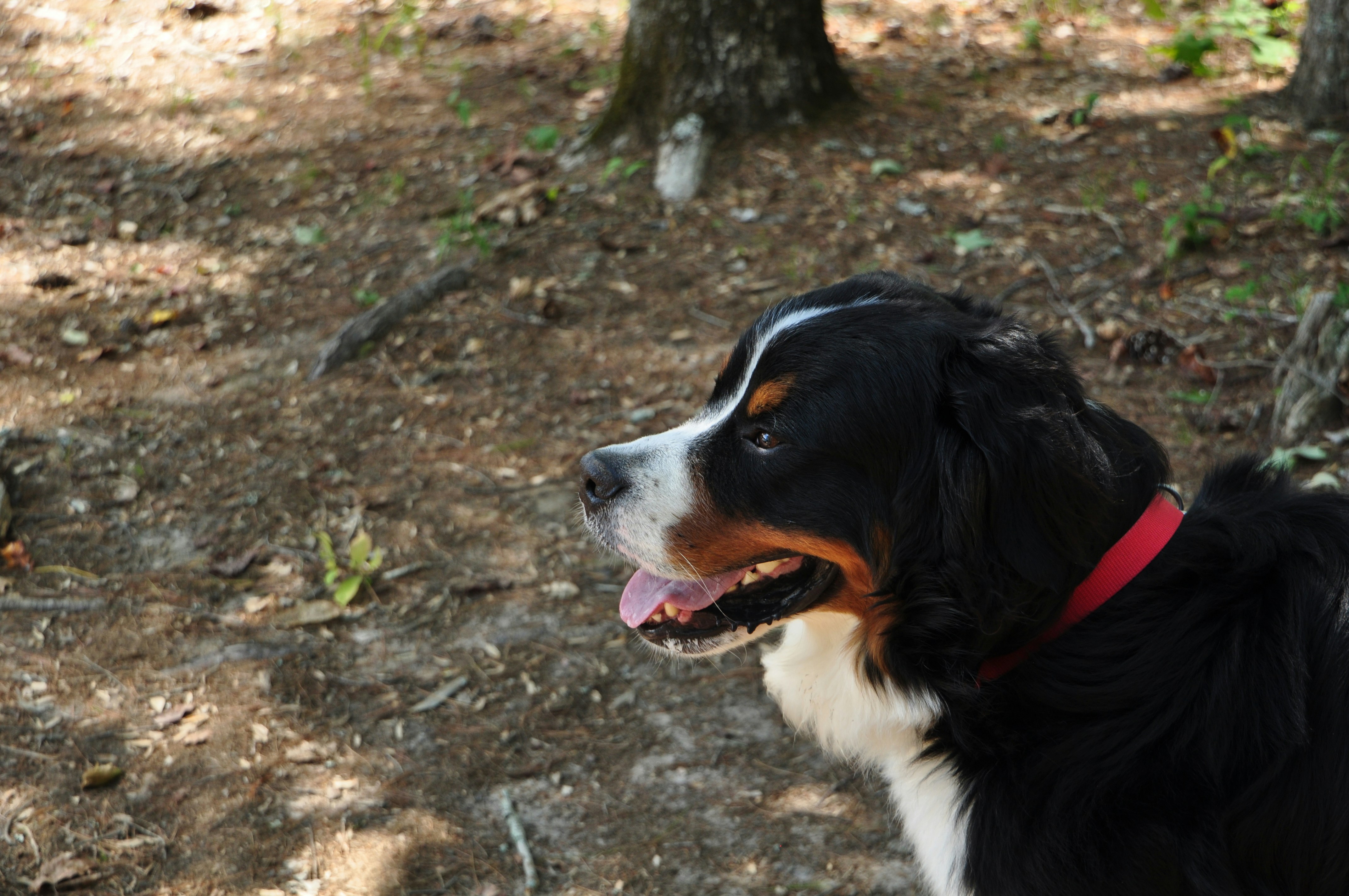 Photo by emmiebsmith