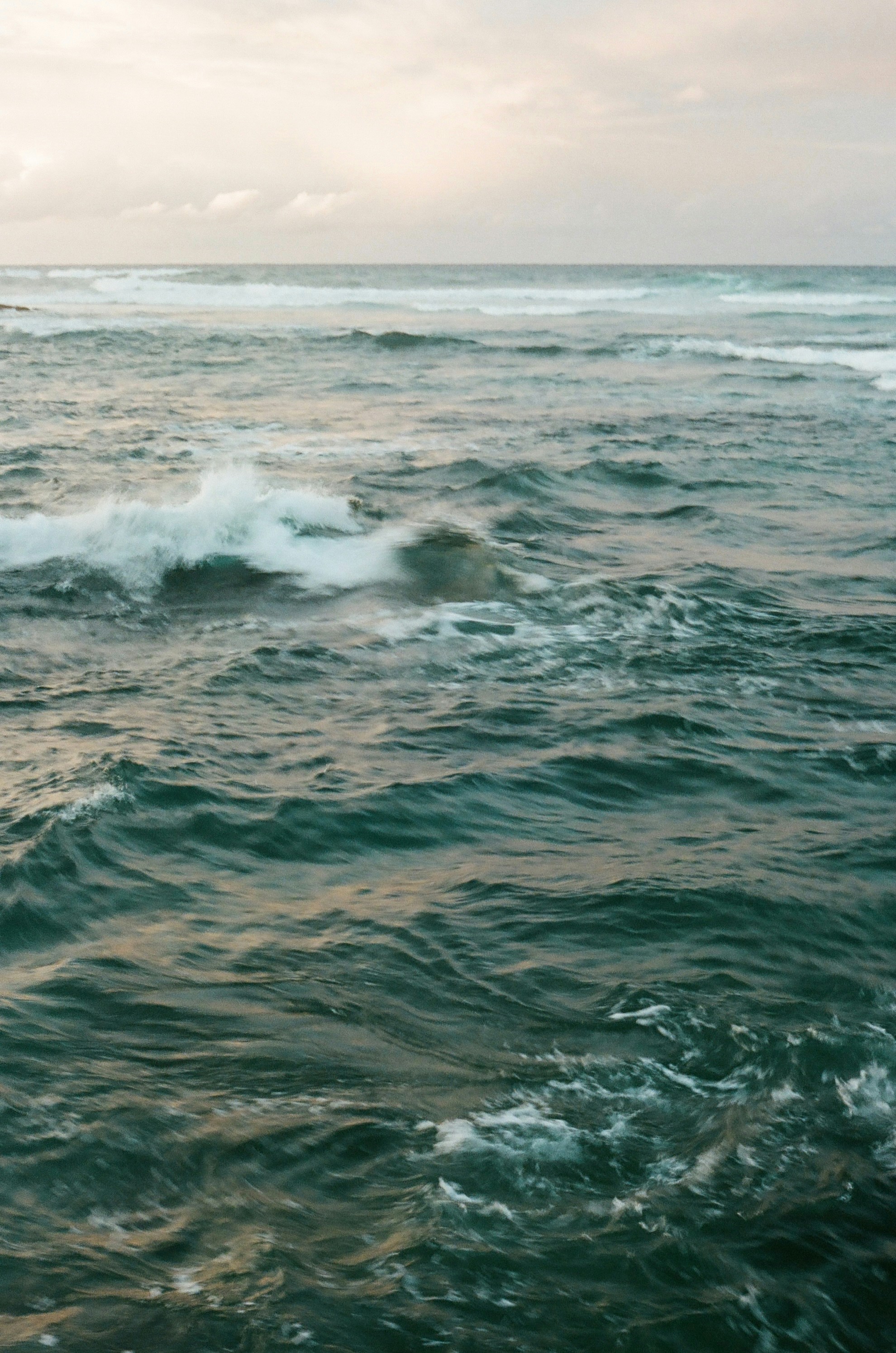 Photo by zoeeefitzgerald