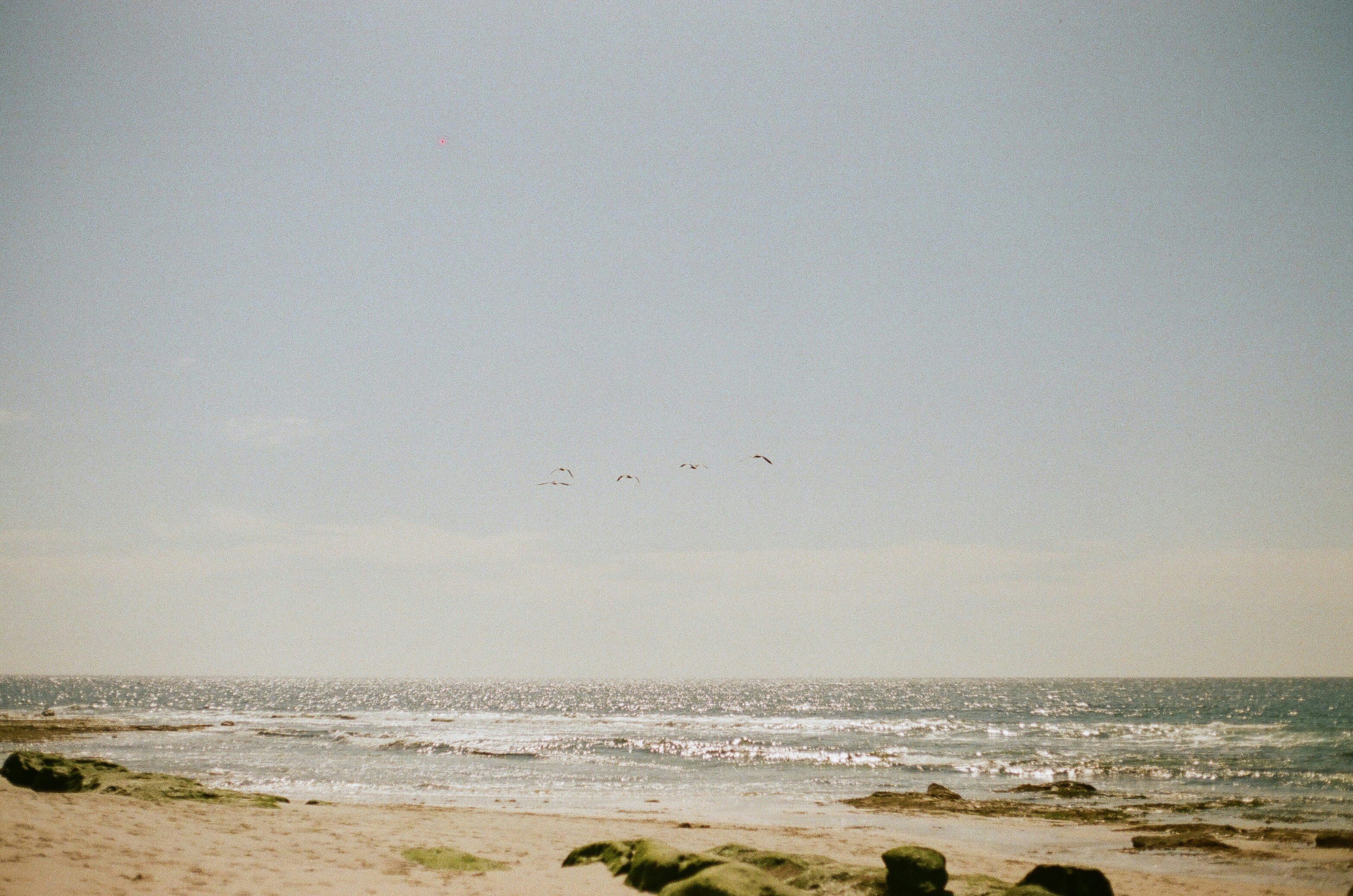 Photo by zoeeefitzgerald