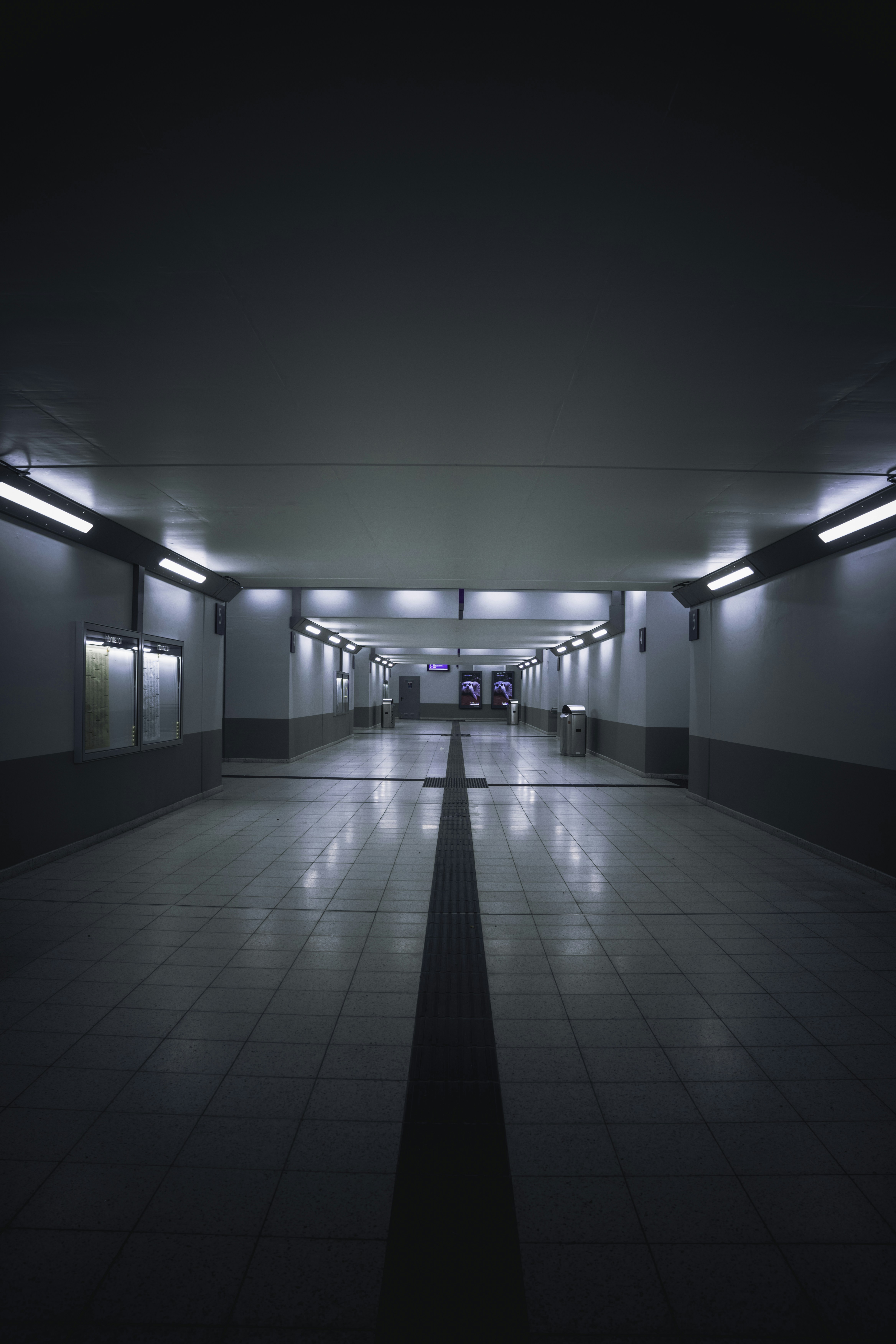 Photo by winstontjia