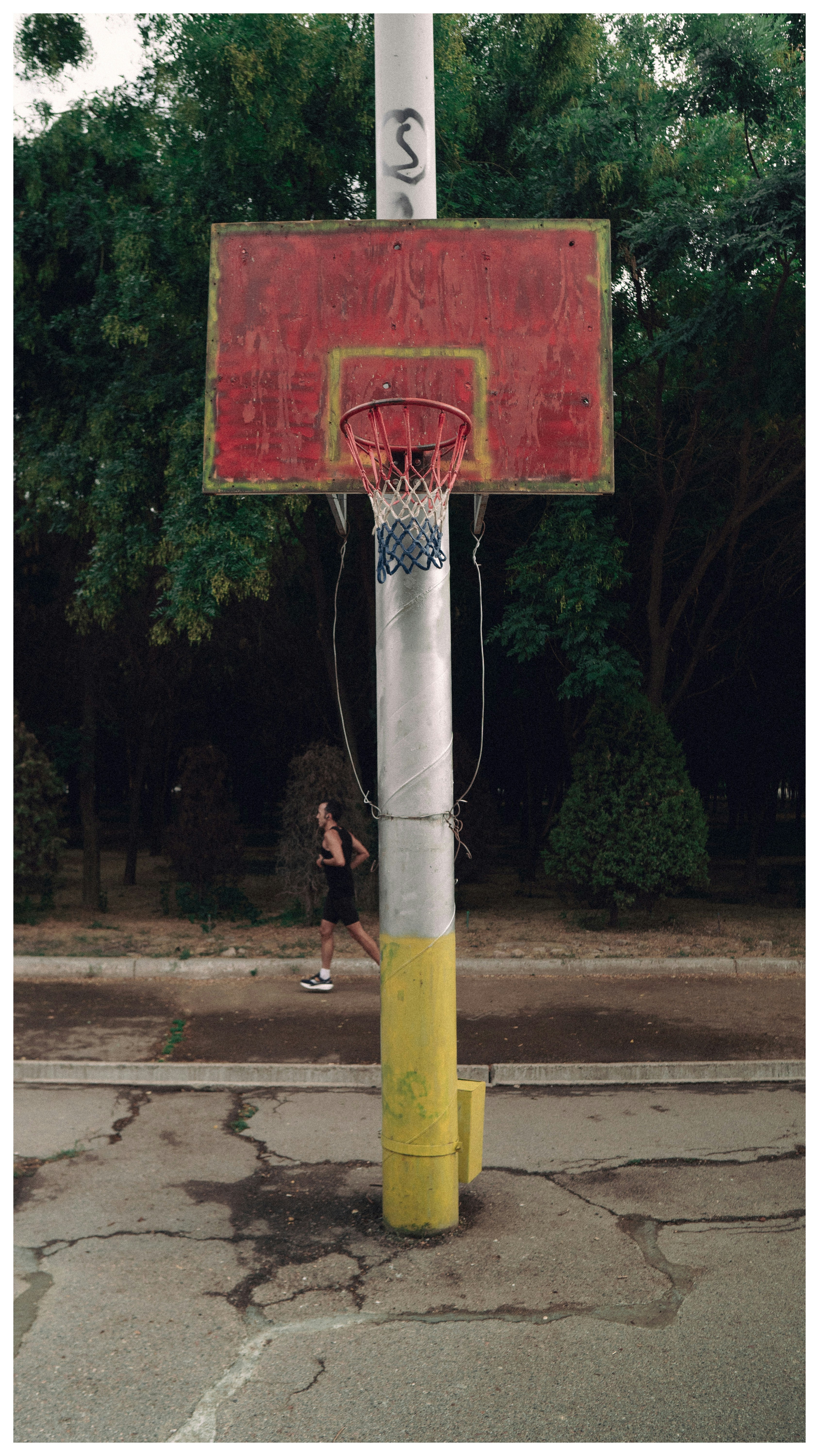 Photo by avocado_nikto