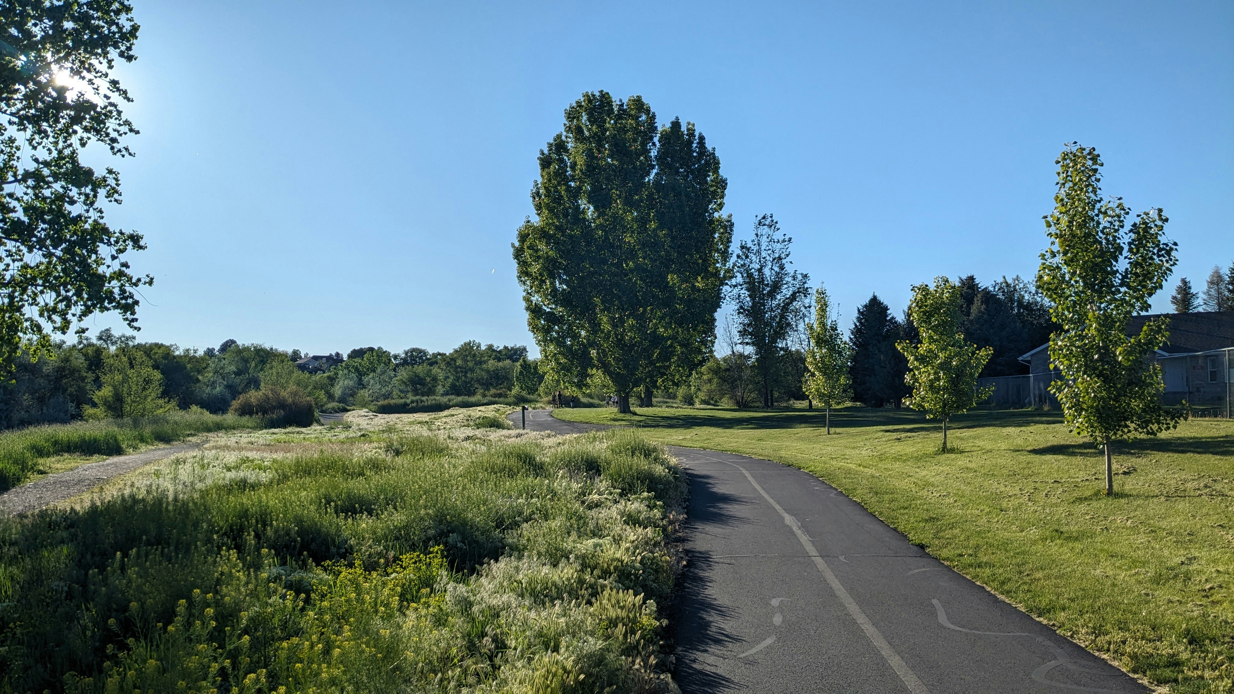 A view of a road in the middle of a field