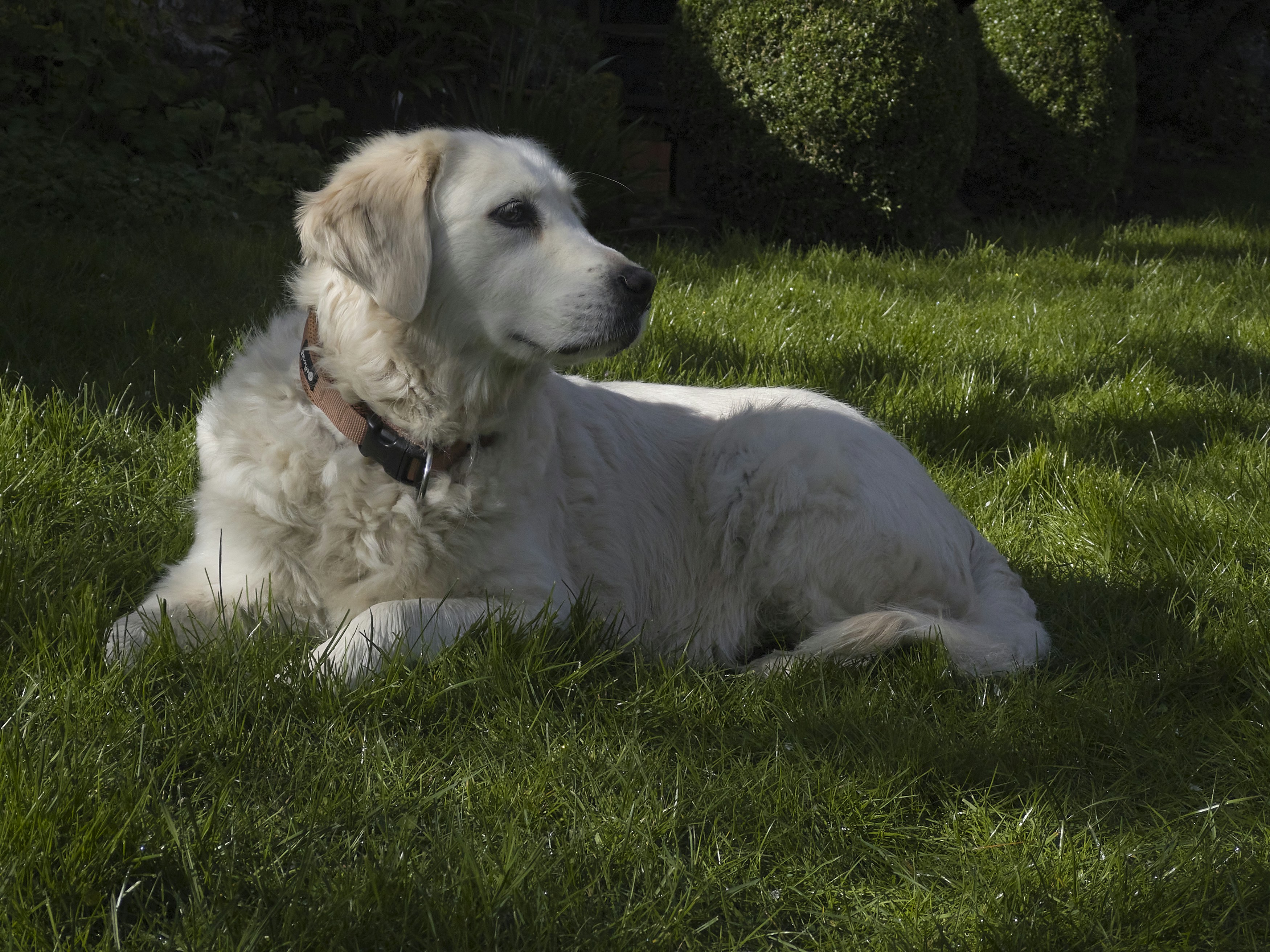 Photo by designbytholen