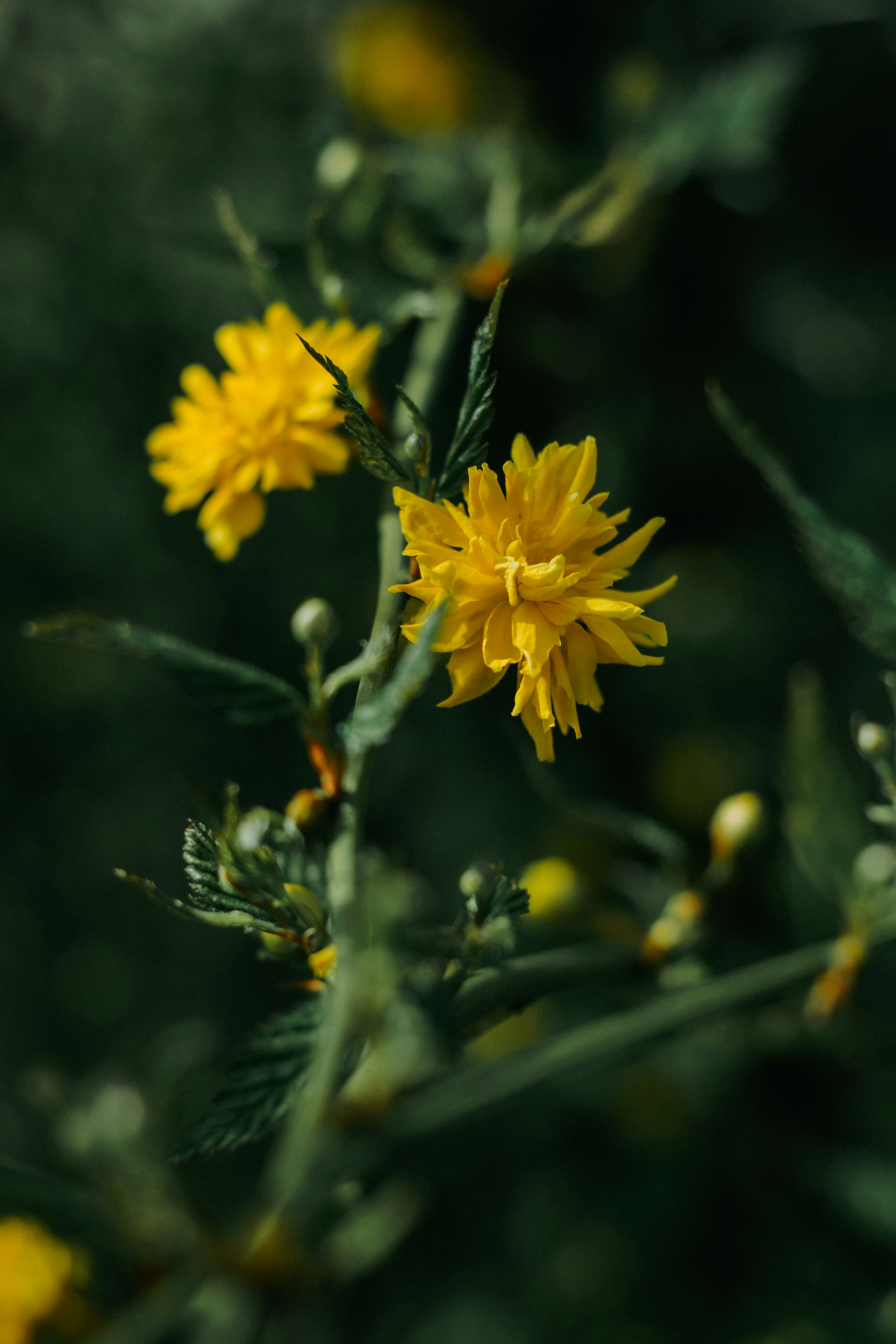 Photo by mineral_of_demon