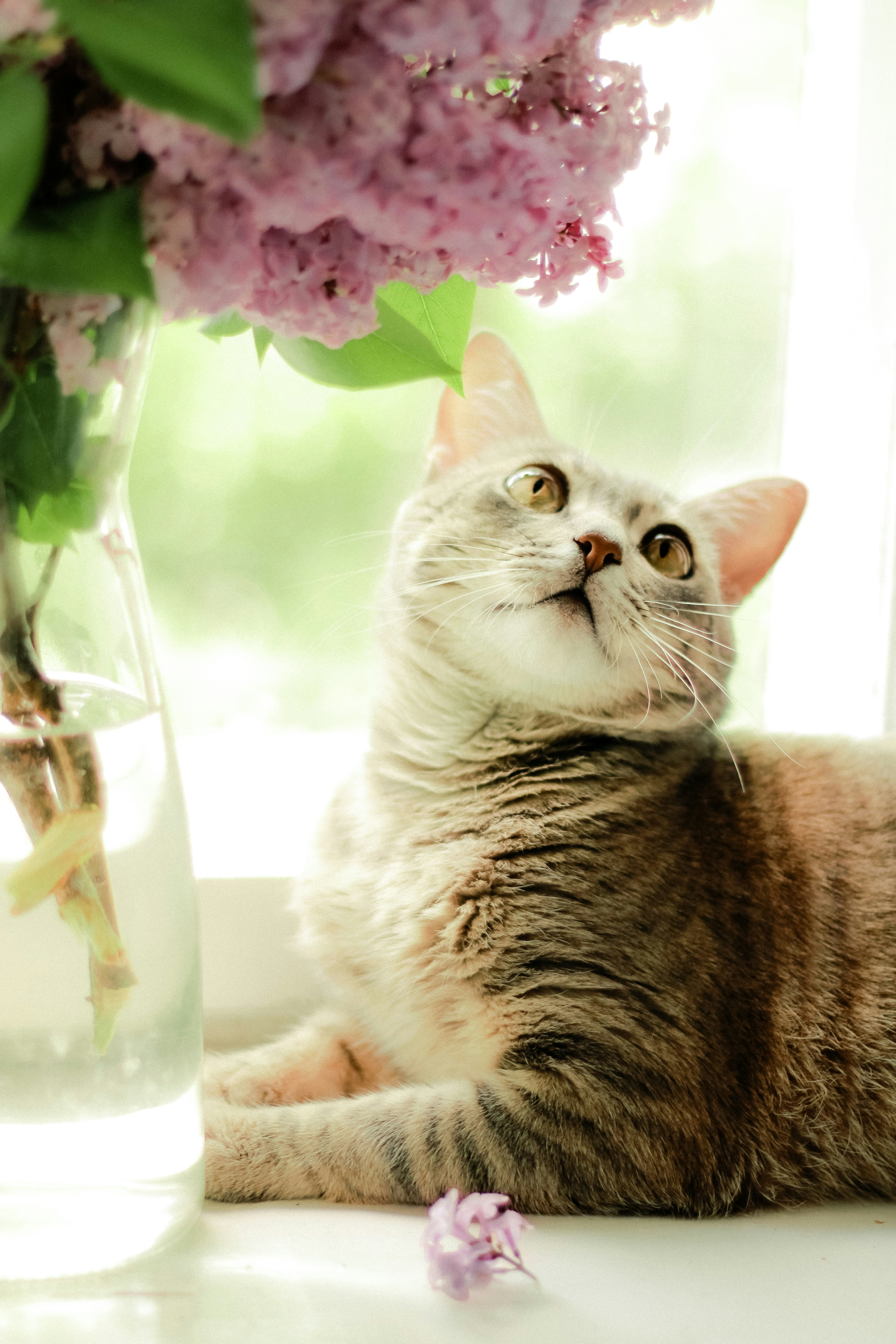 Photo by mineral_of_demon