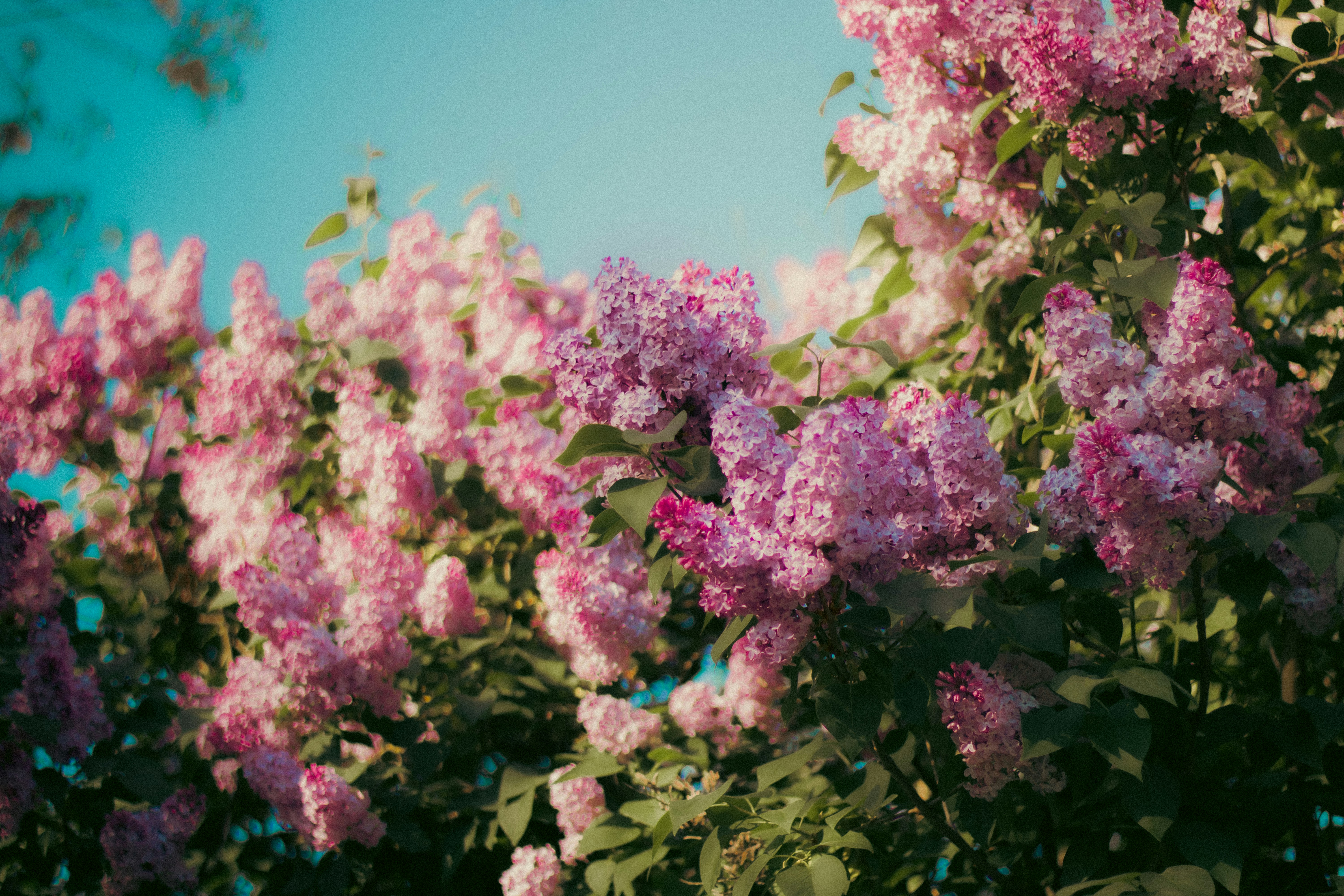 Photo by mineral_of_demon