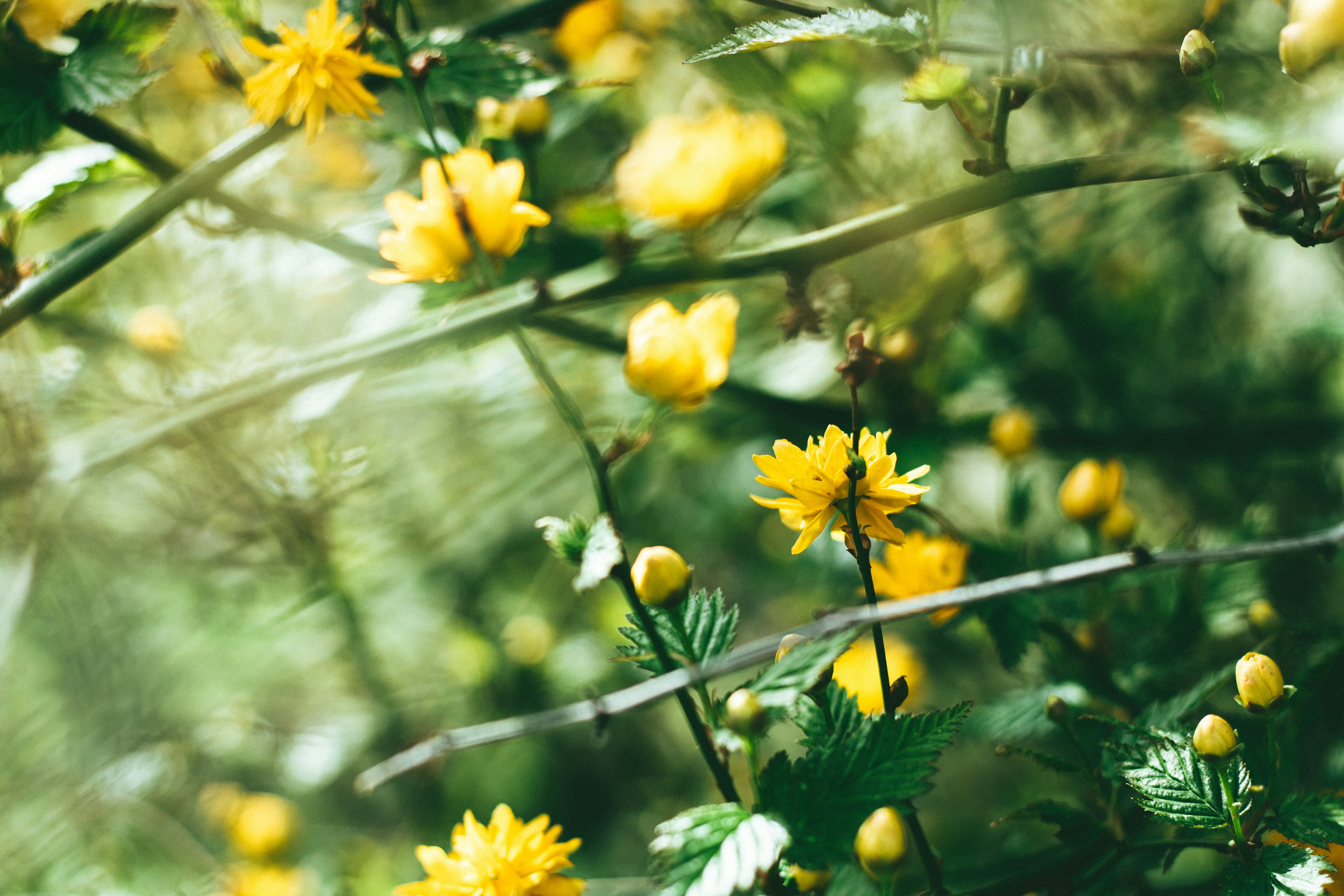 Photo by mineral_of_demon