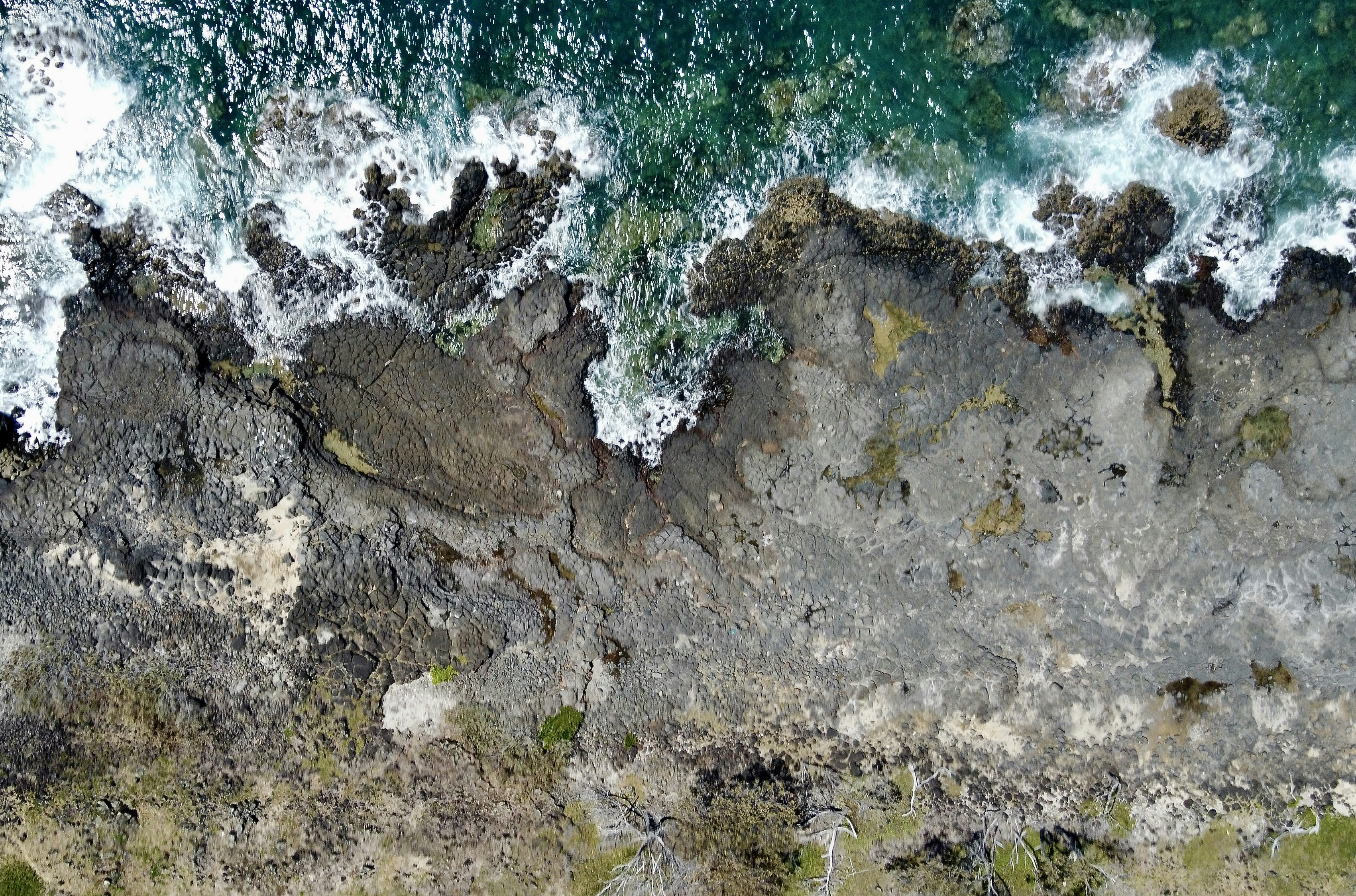 Photo by the_afternoon_photographer