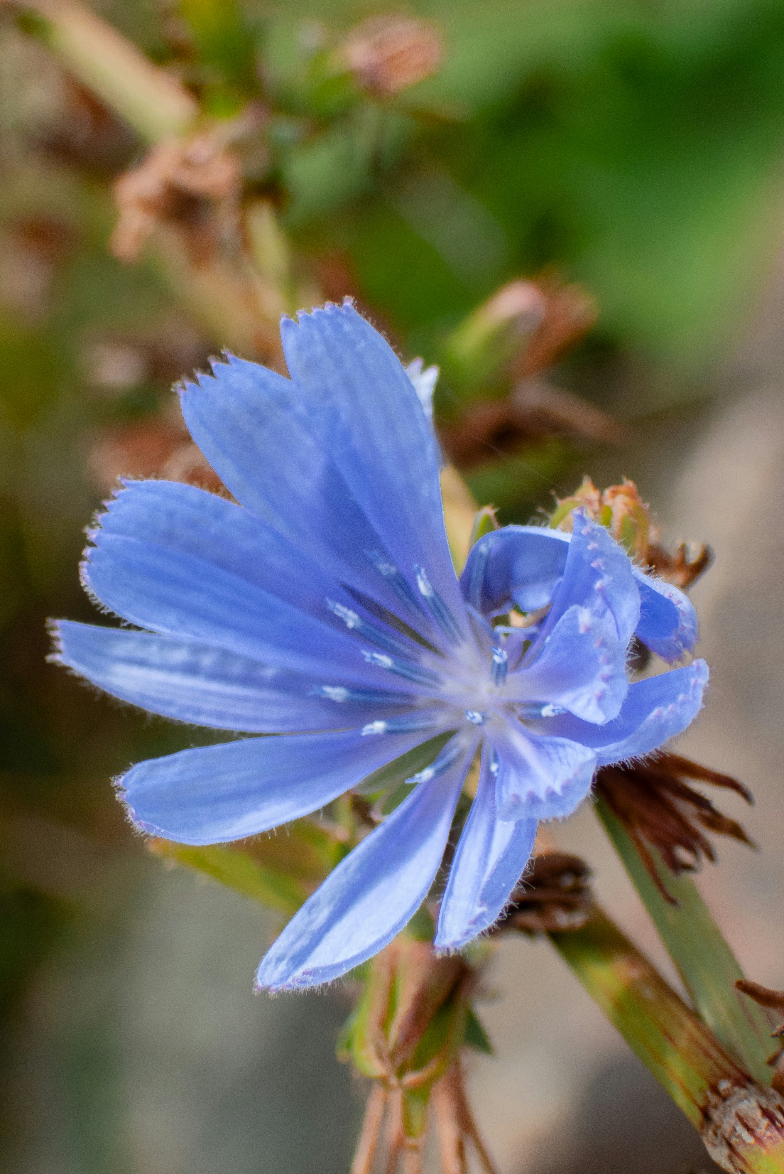 Photo by attaliehart