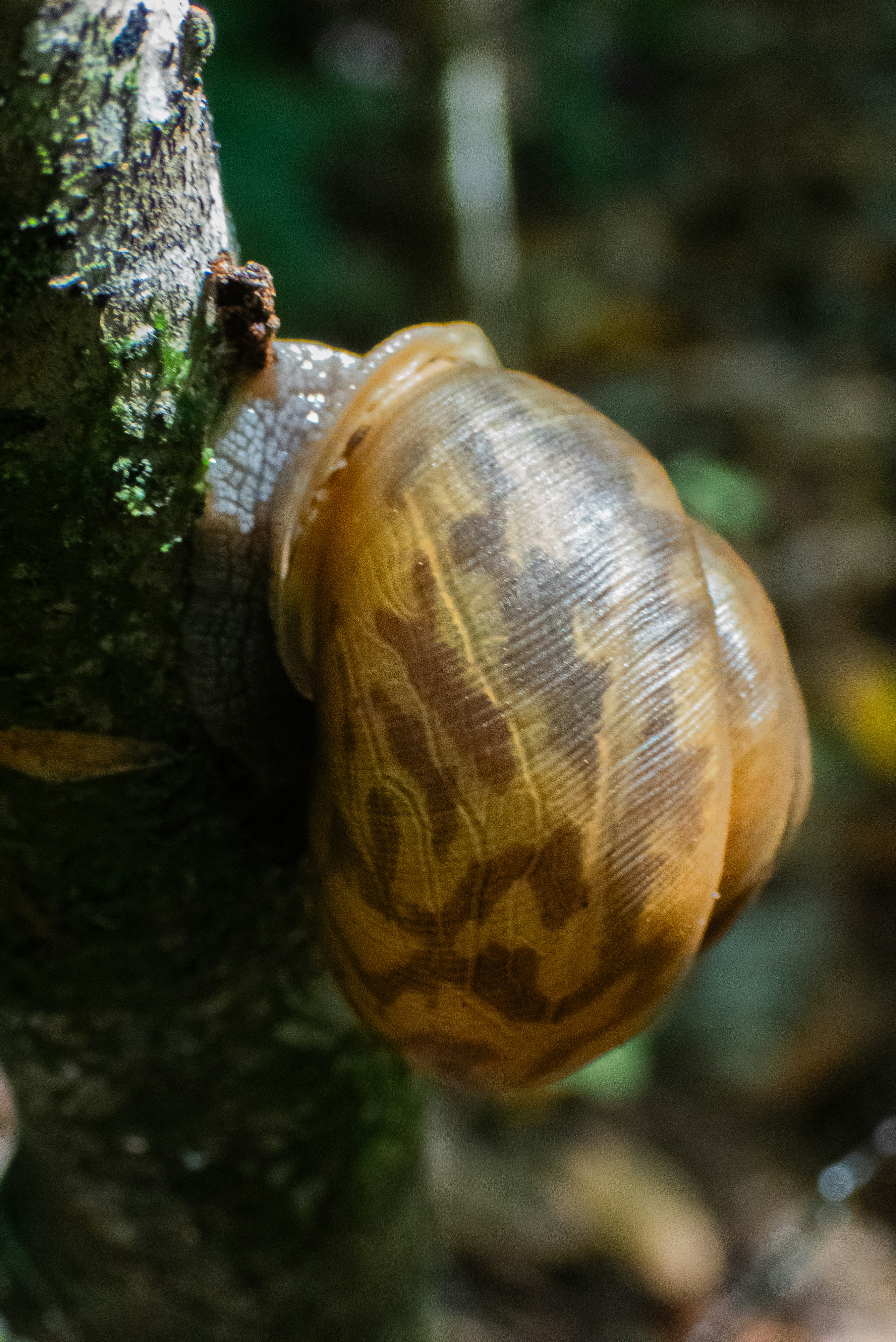 Photo by attaliehart