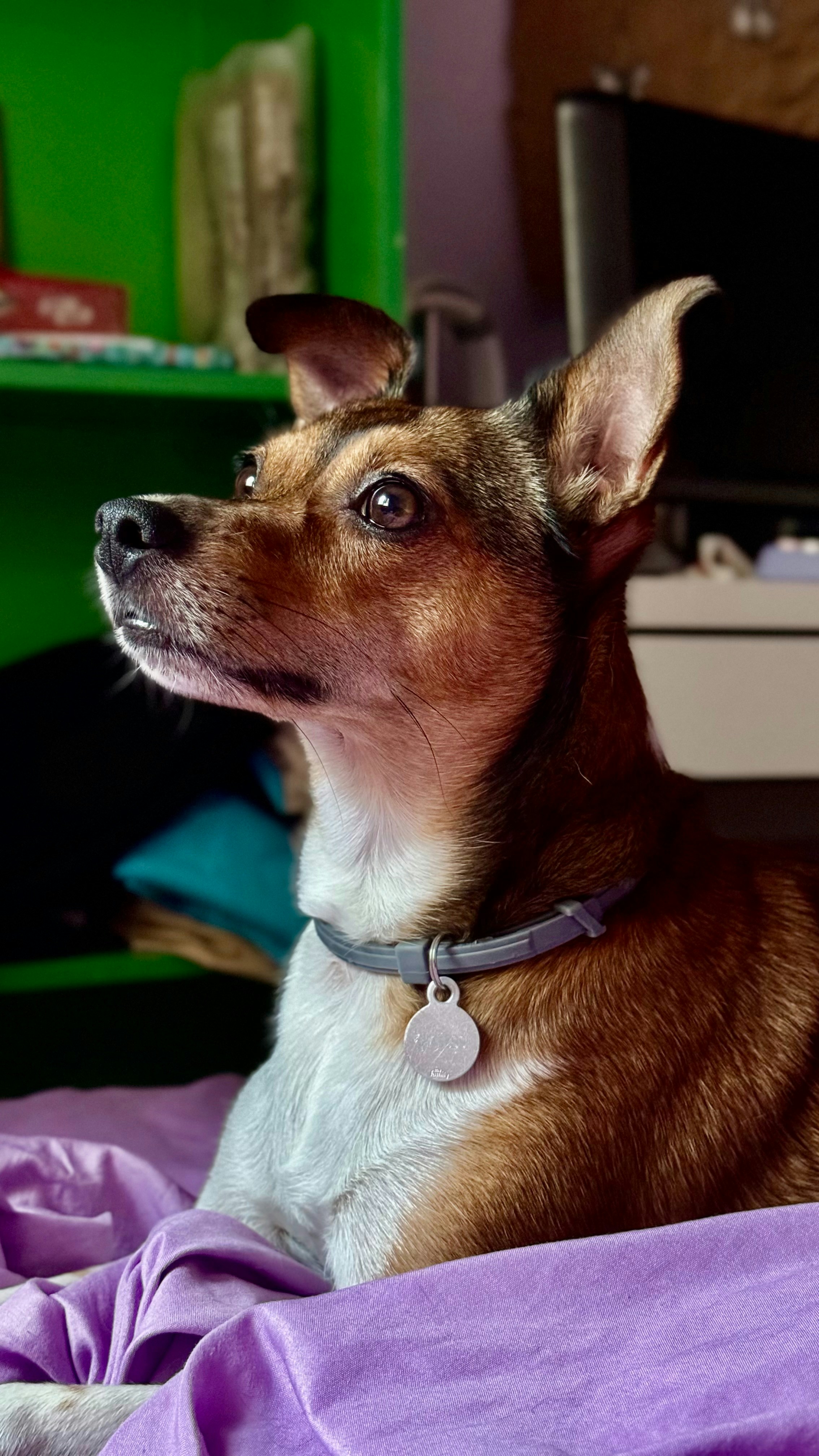 Photo by ireenee_fdez