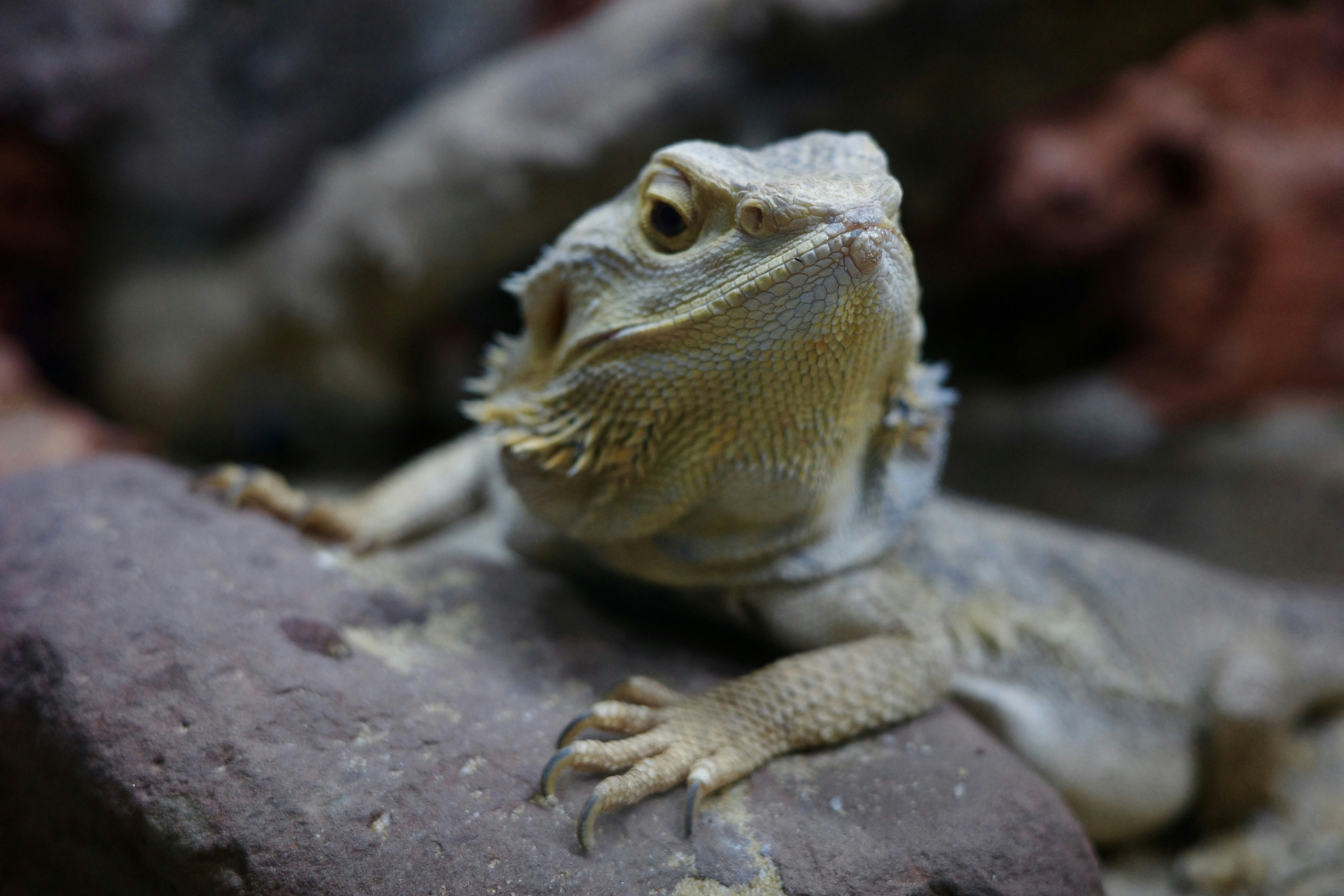 Photo by dmitrii_filatov