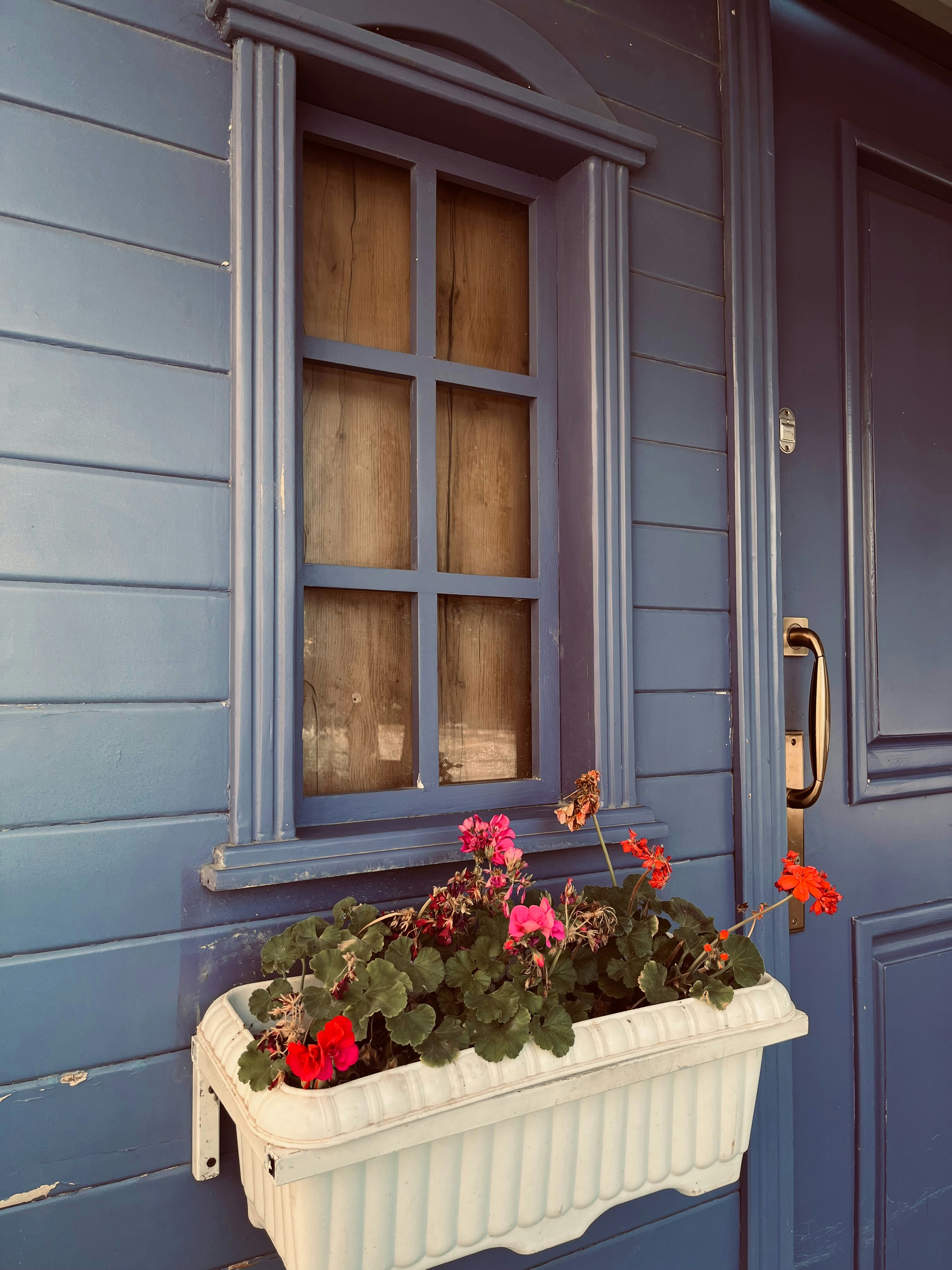A window box with flowers on the outside of it
