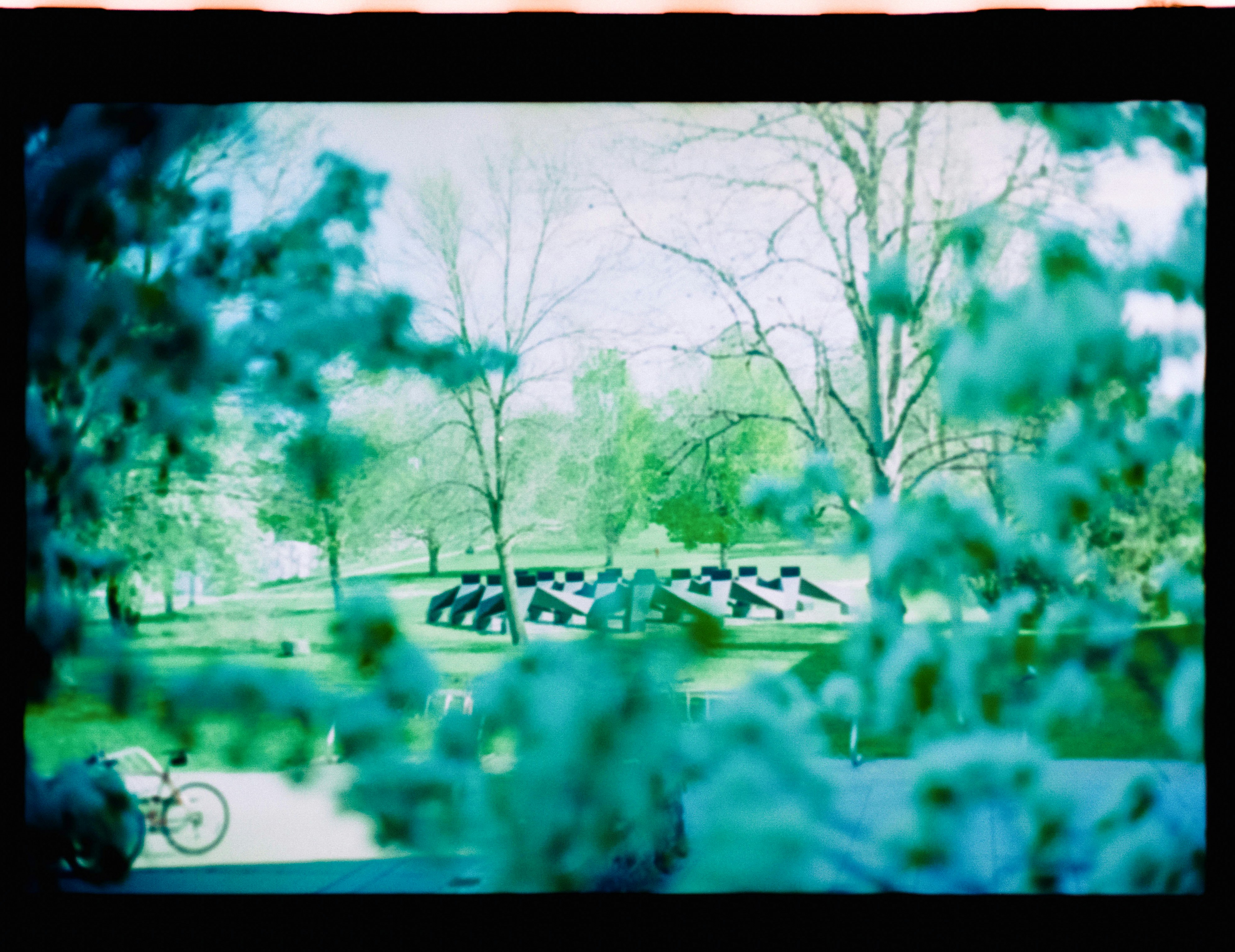 People cycling past park sculptures on a sunny day