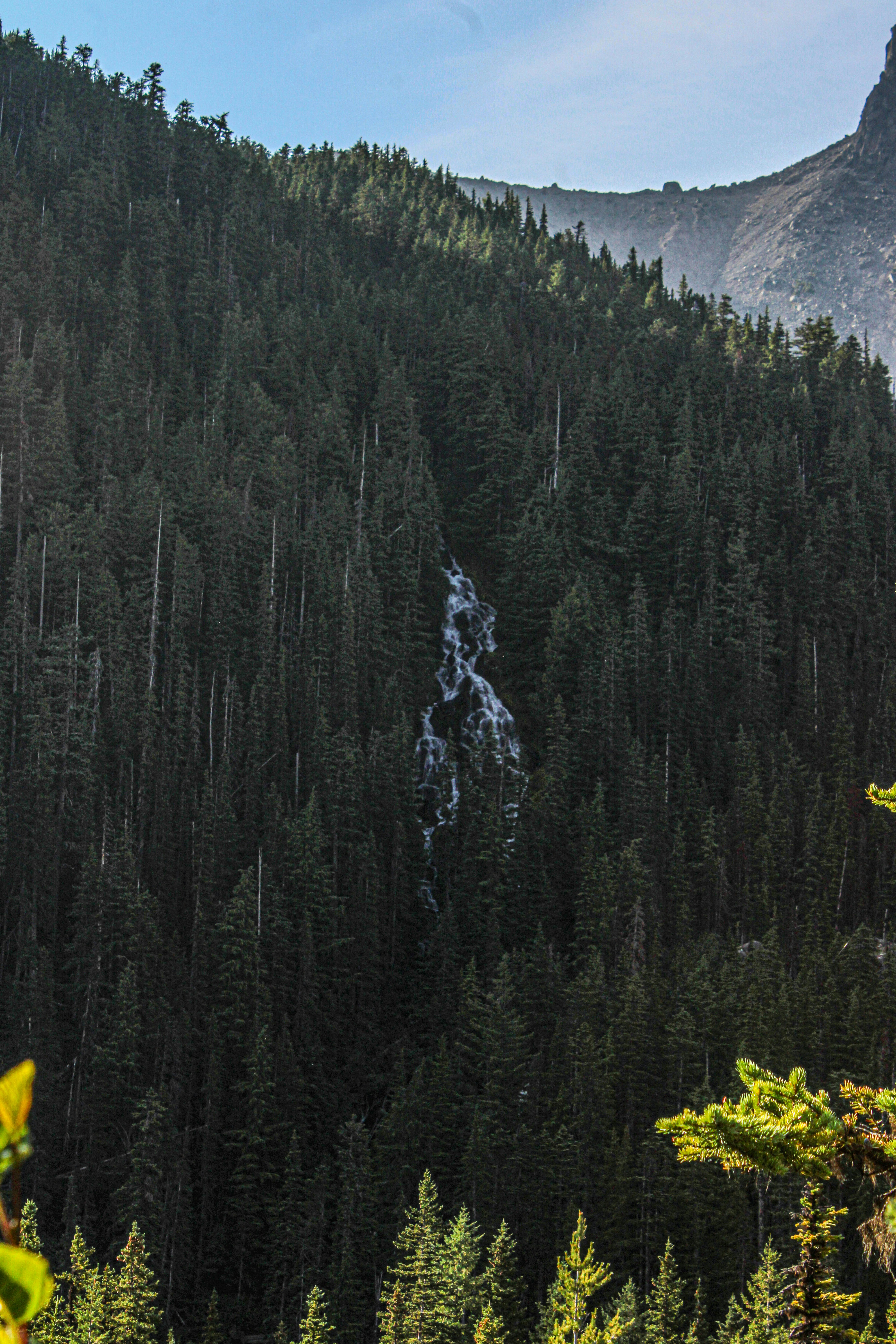 Photo by prphotography262