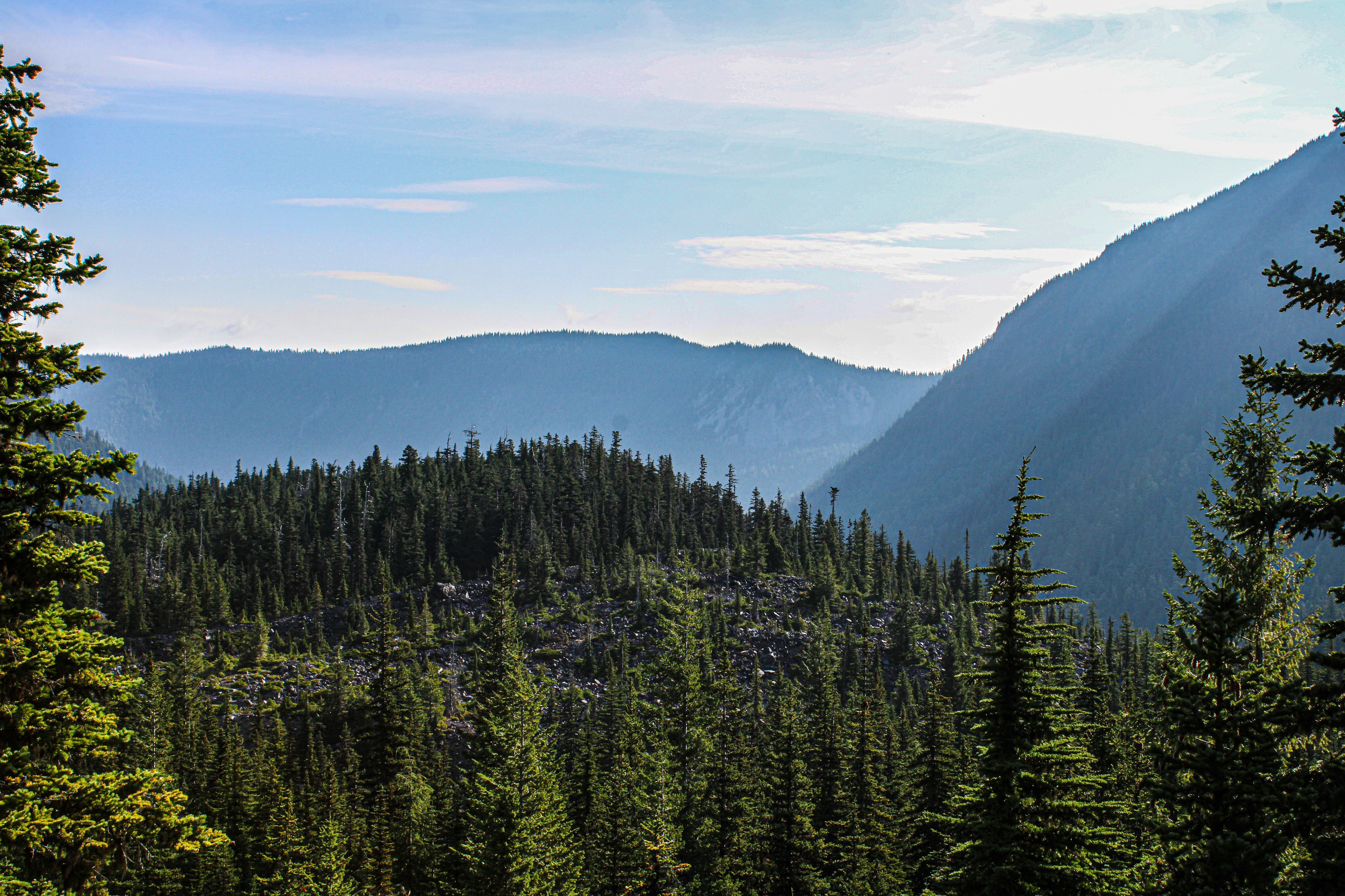 Photo by prphotography262