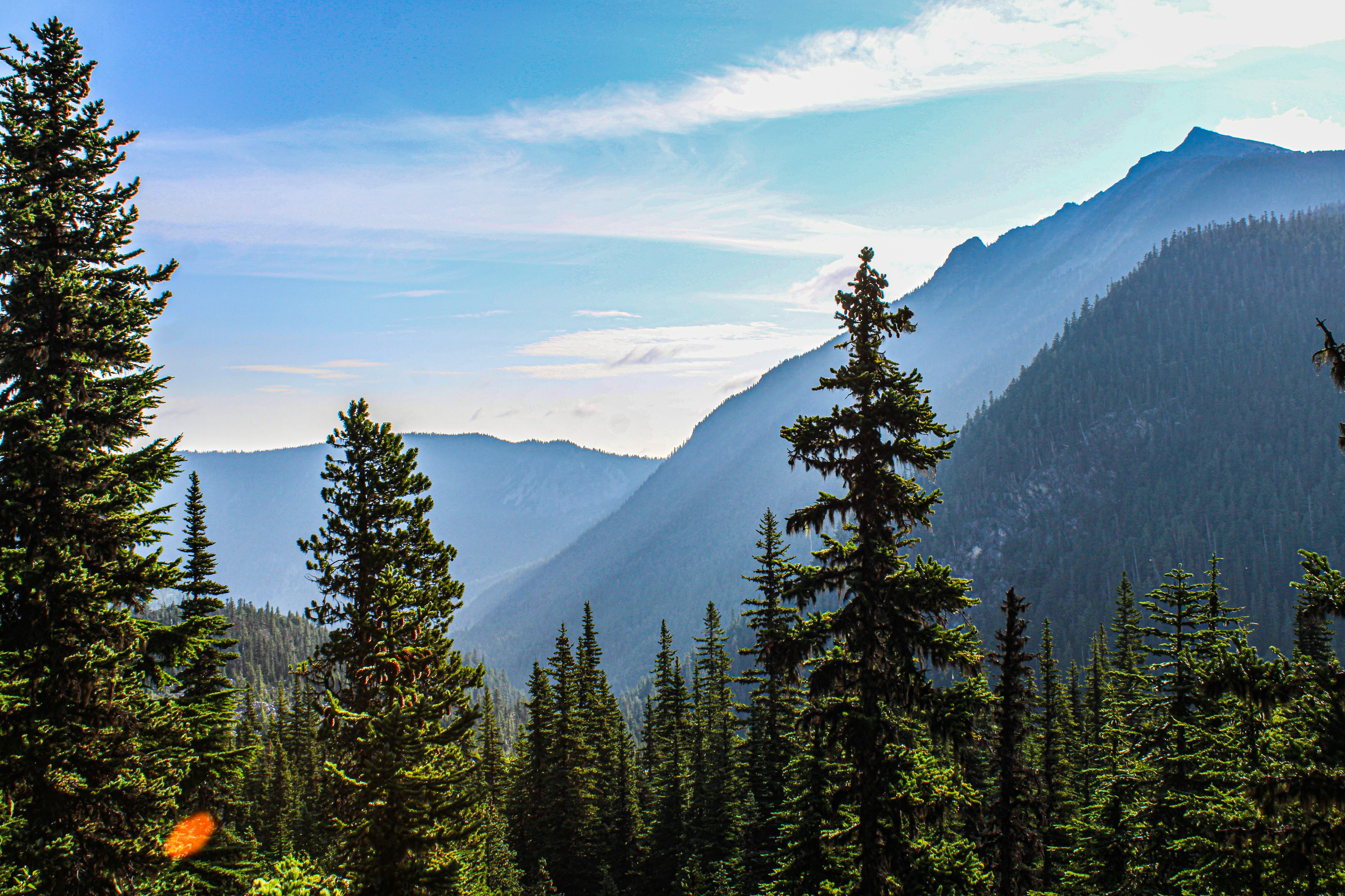 Photo by prphotography262