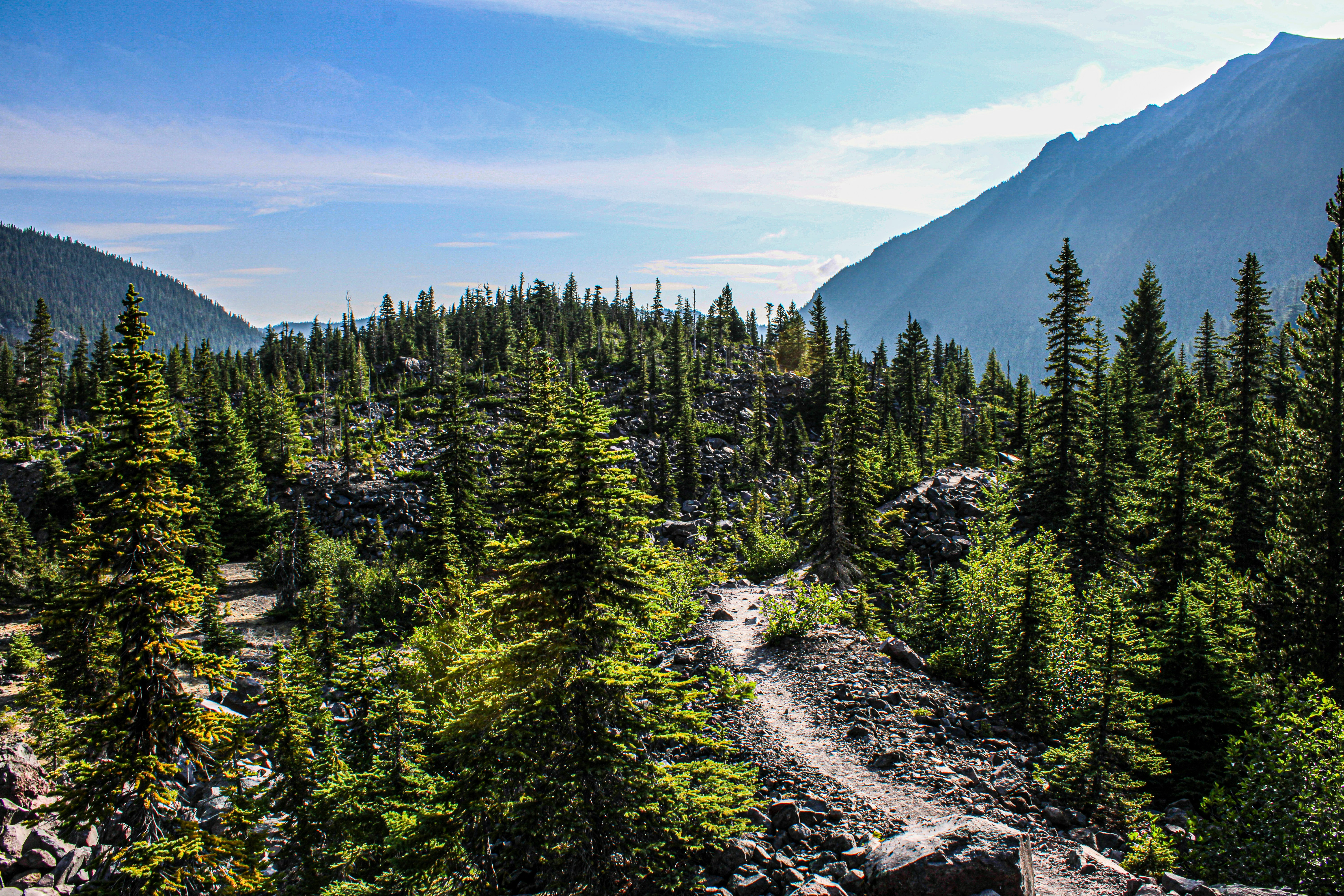 Photo by prphotography262