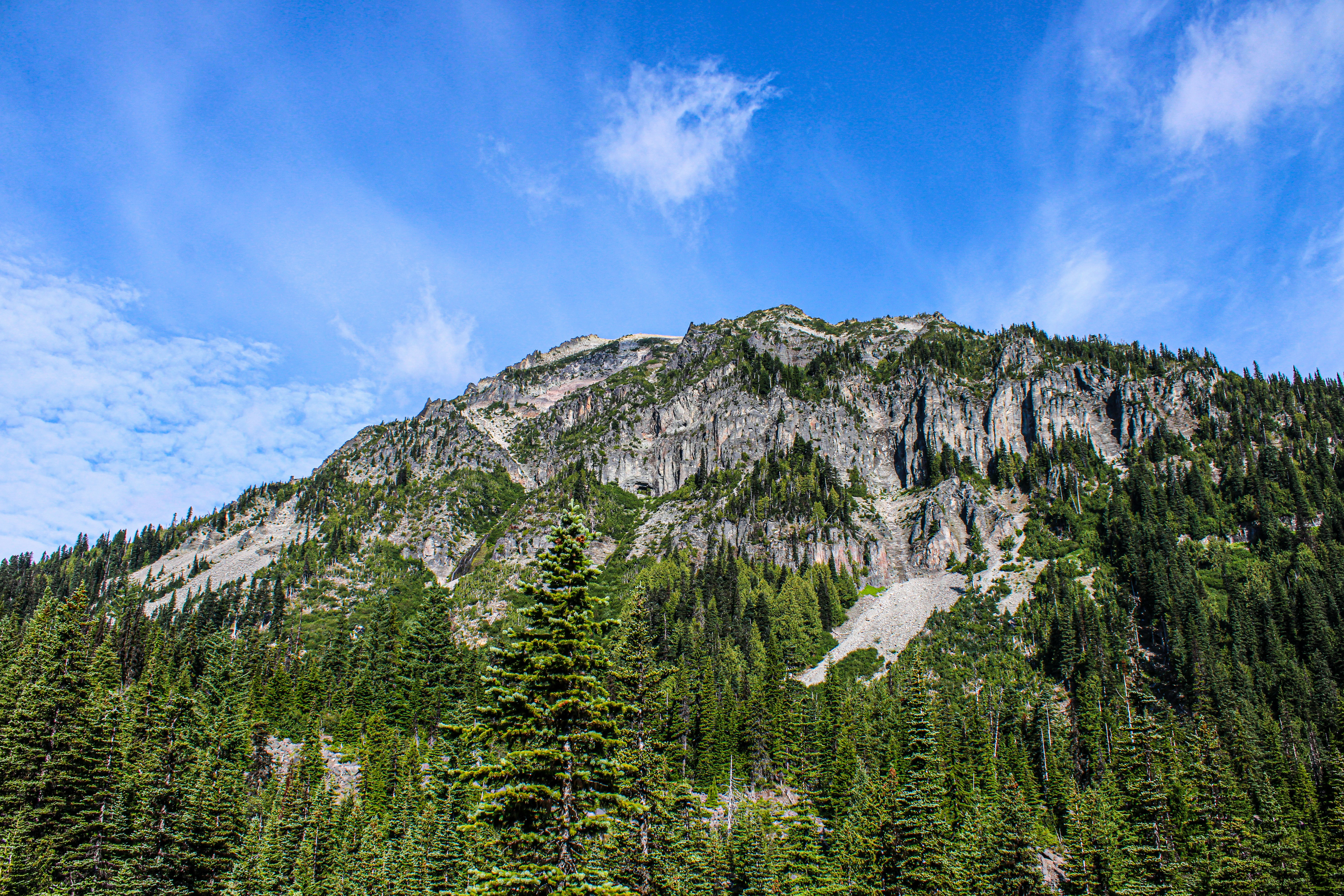 Photo by prphotography262