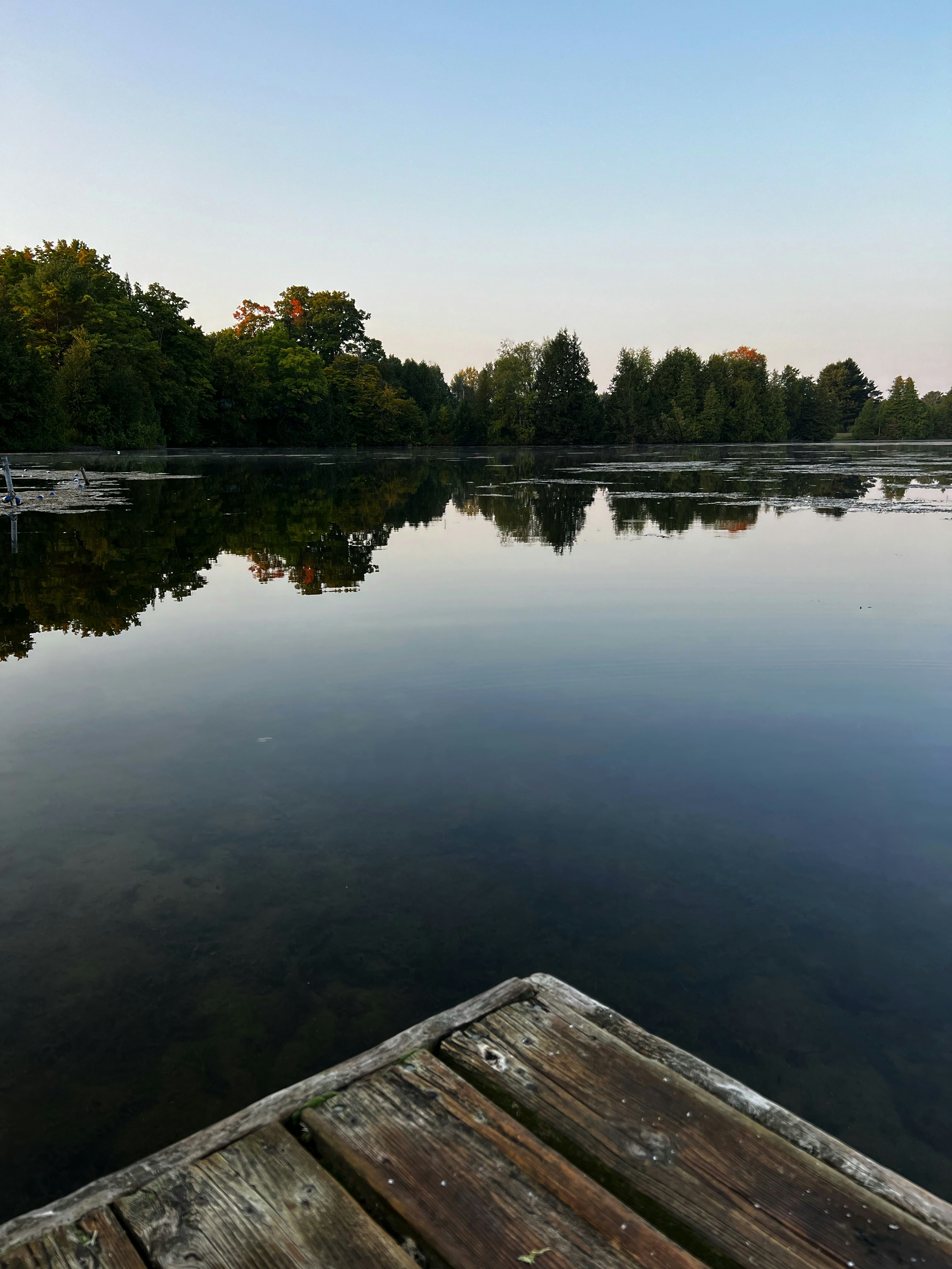 A dock sitting on top of a lake next to a forest