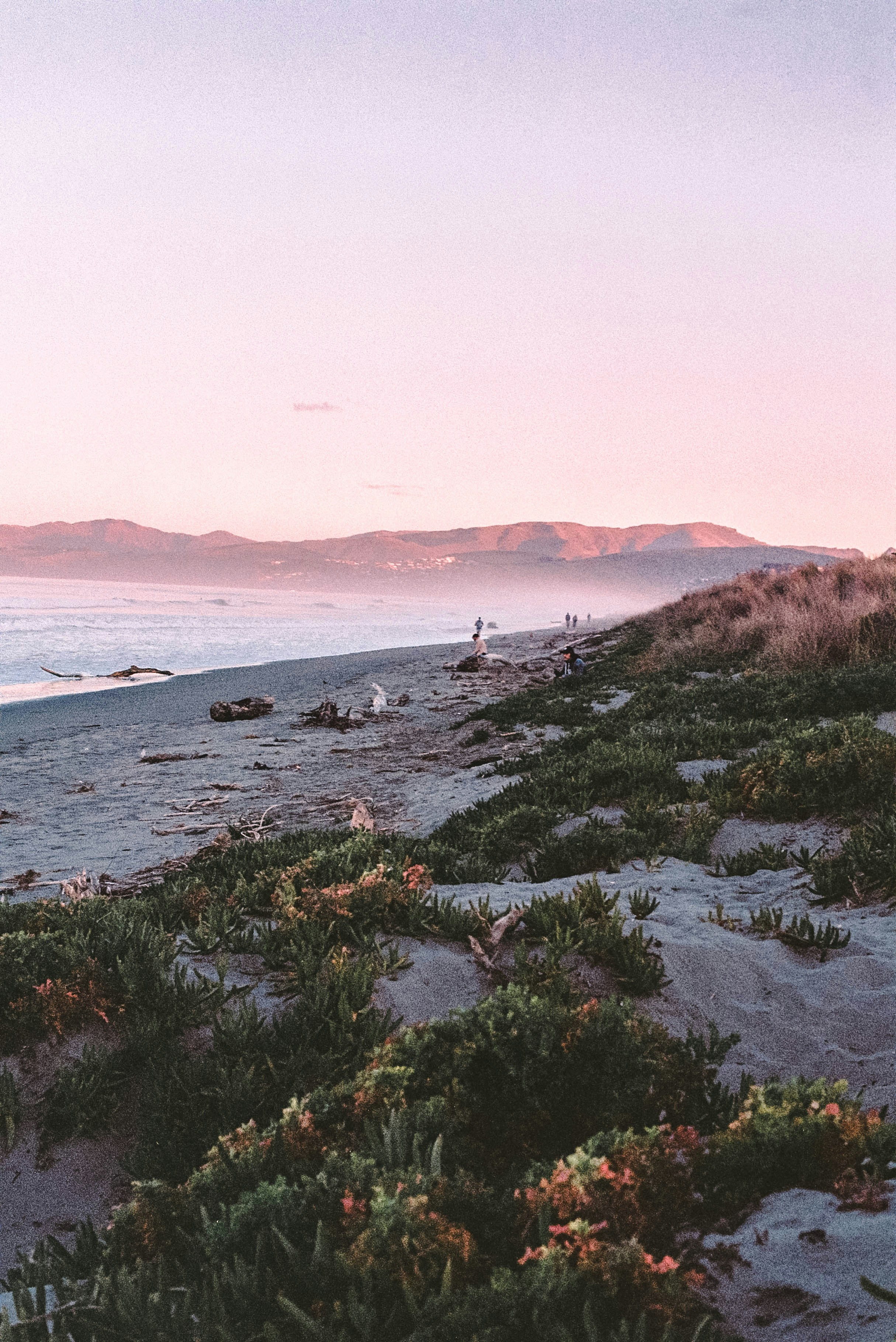 Daily Productive Sharing 1077 - Thrive From Failures