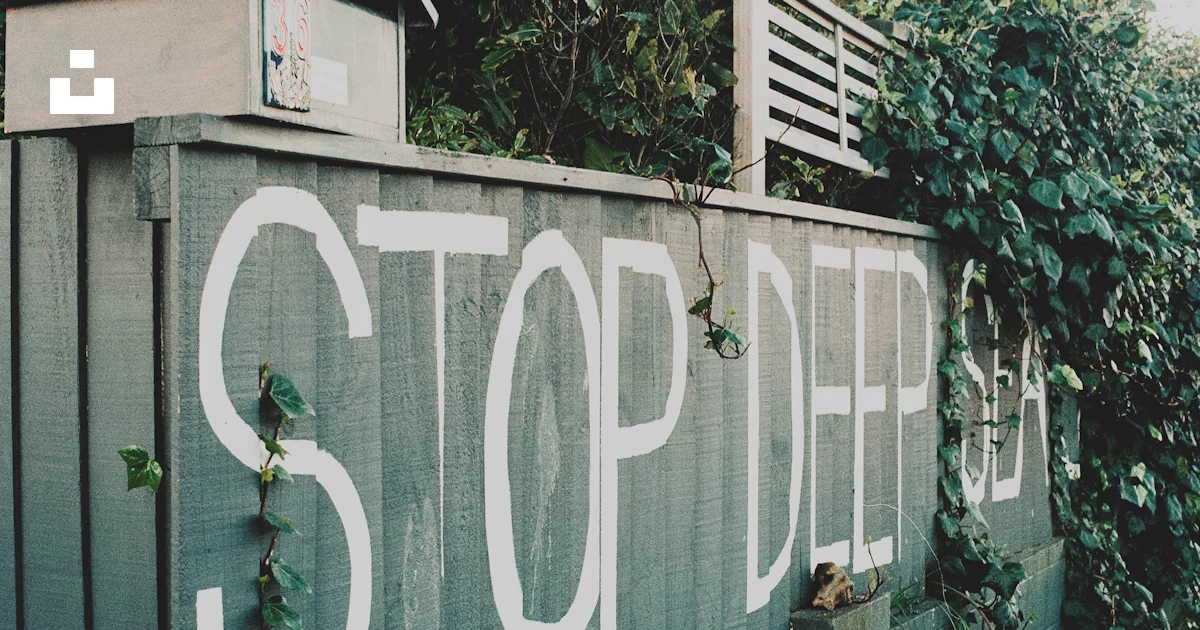 Stop Builing Sign A stop sign painted on the side of a building photo – Free New zealand ...
