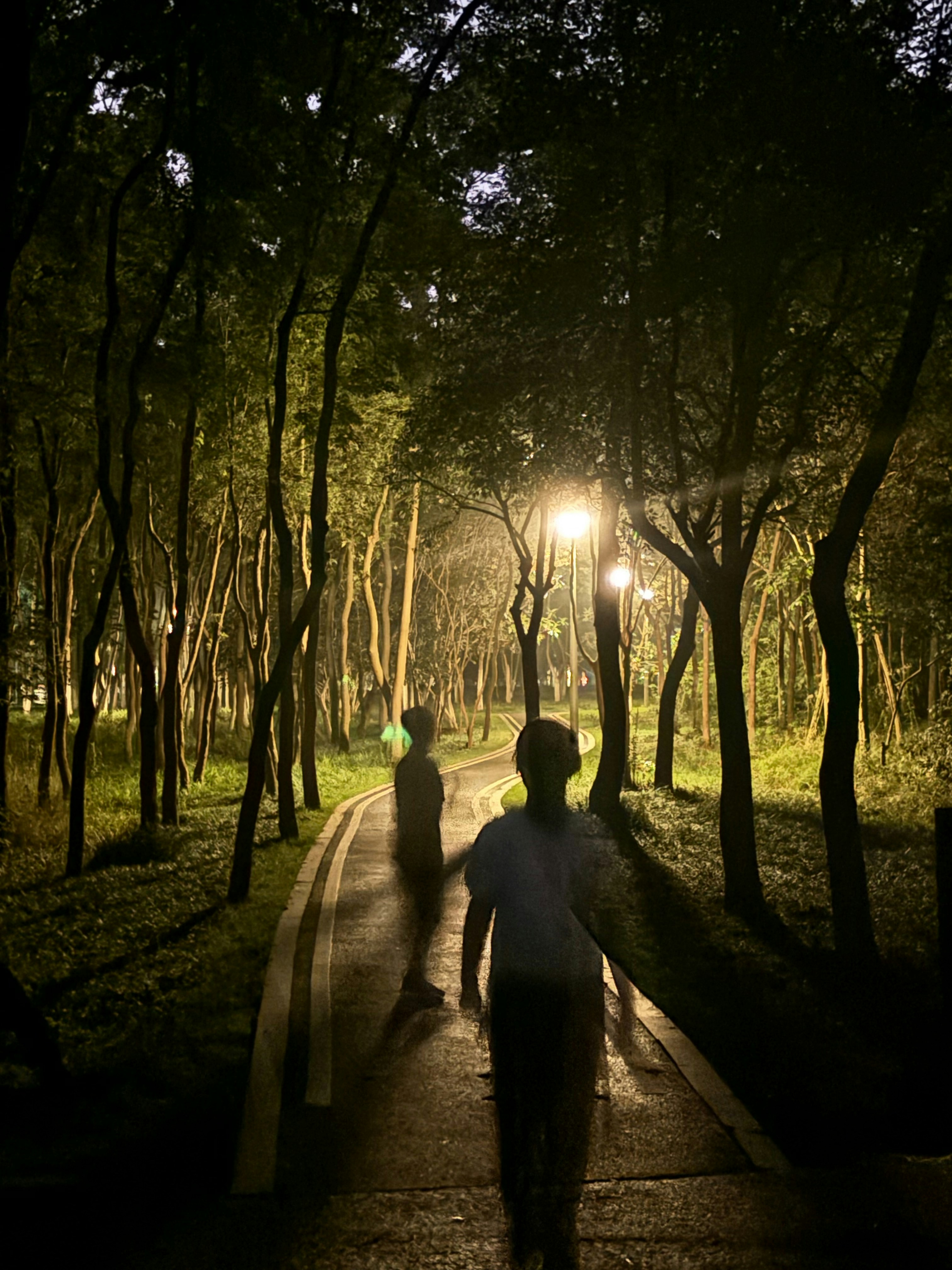 Two silhouettes walking side by side on a rain-soaked path, warm amber street lights, moody atmospheric scene
