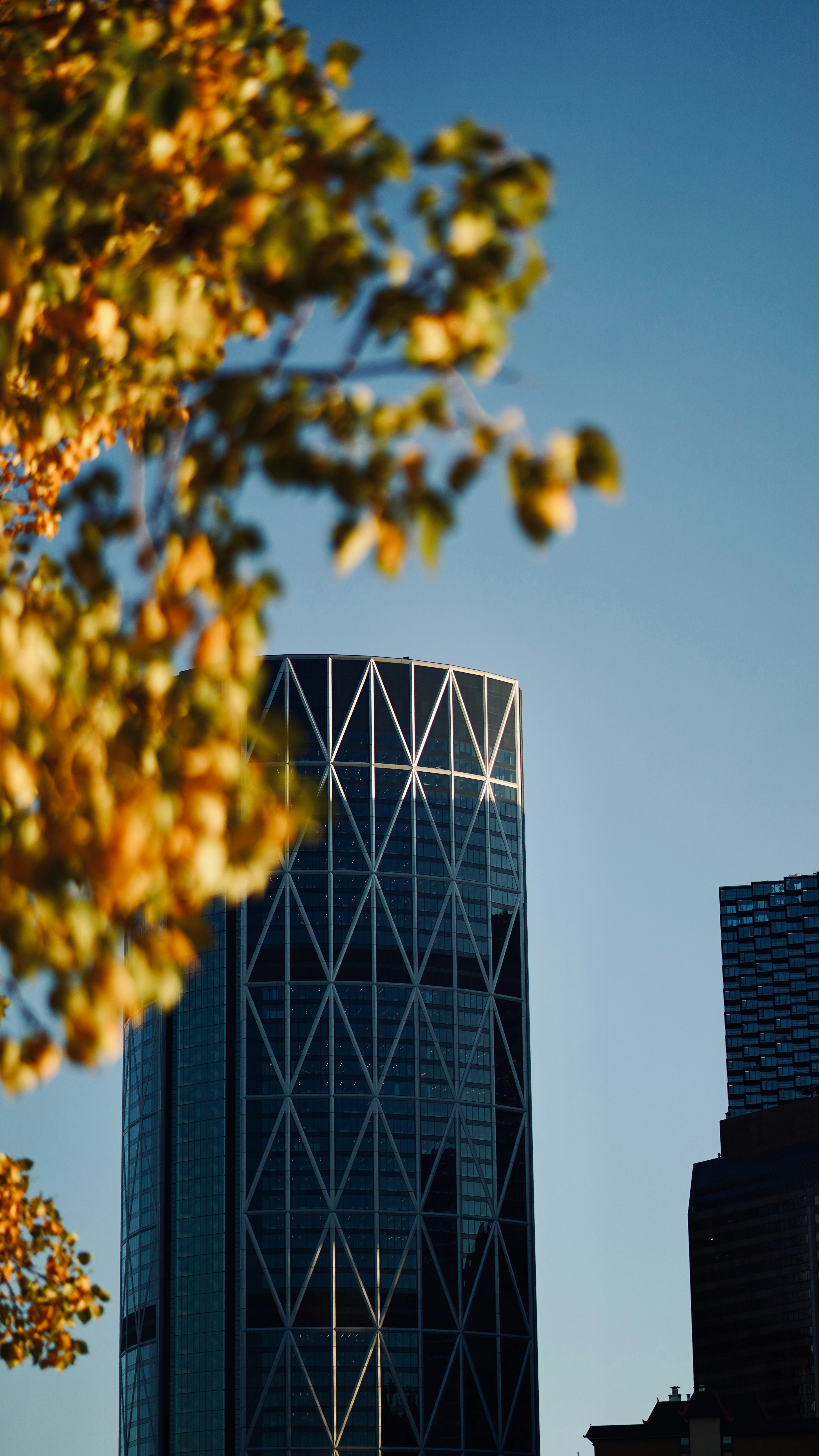 Photo by sangam_sharma