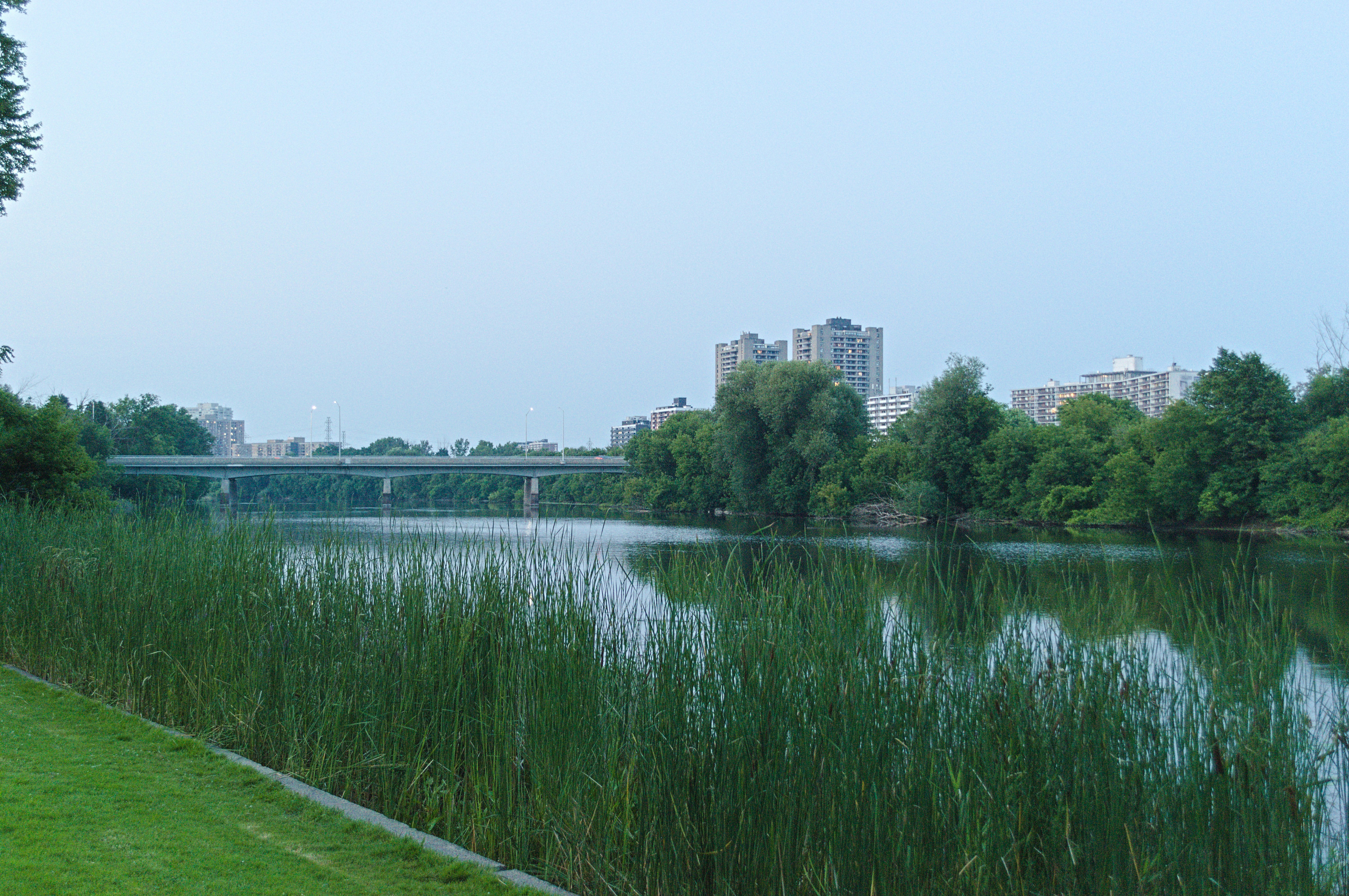 Photo by rmacleod2323