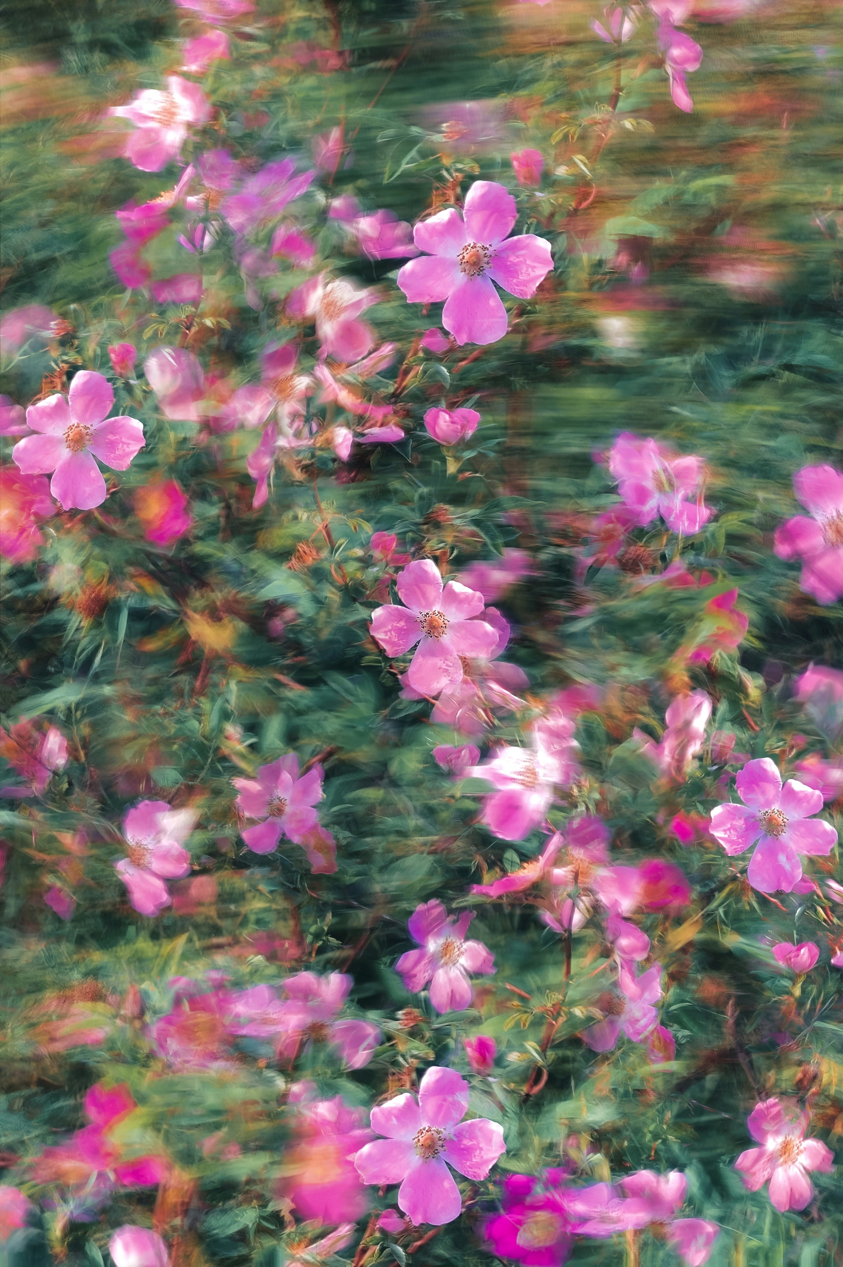 Photo by eugene_golovesov