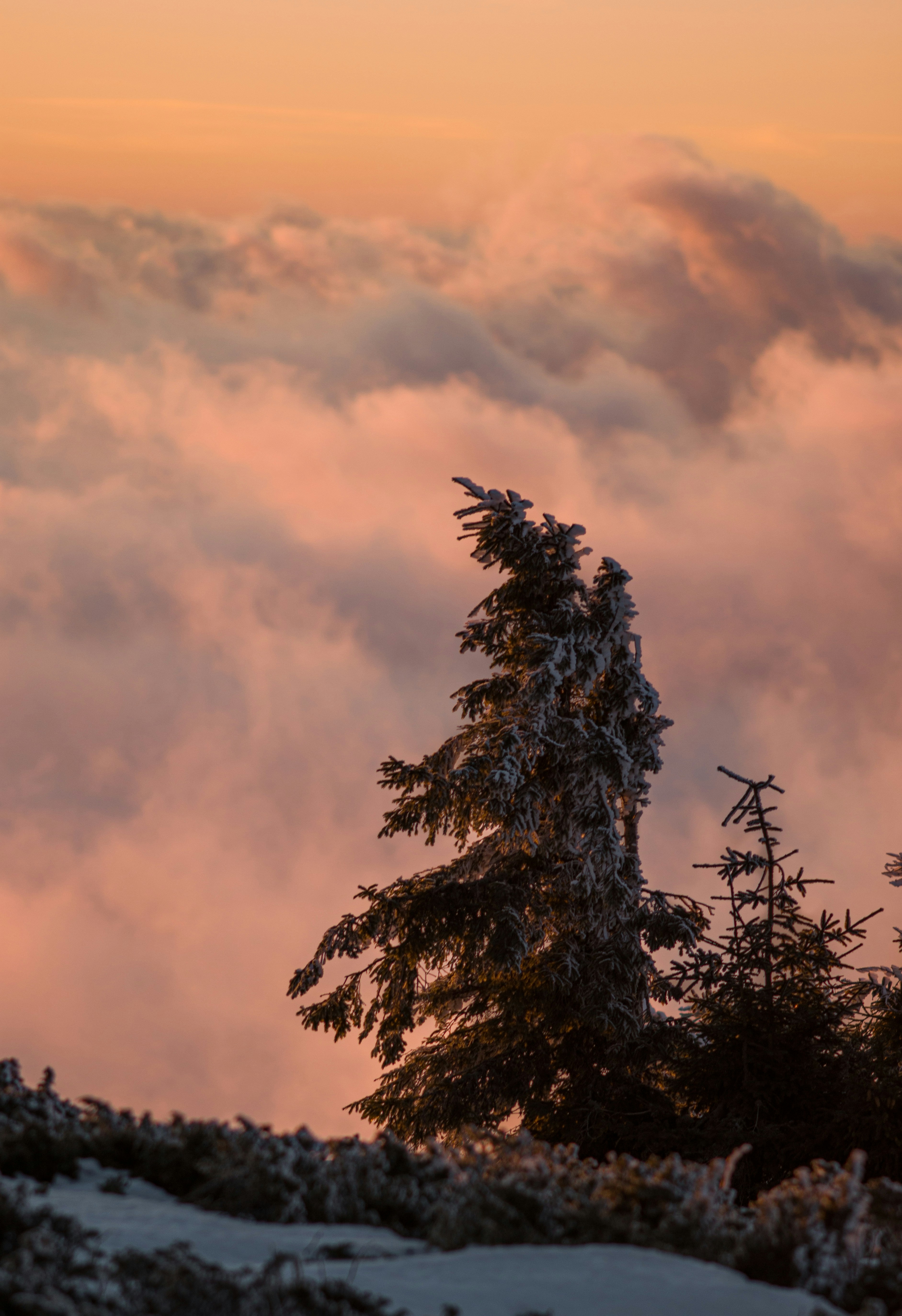 A view of the clouds and trees in the distance
