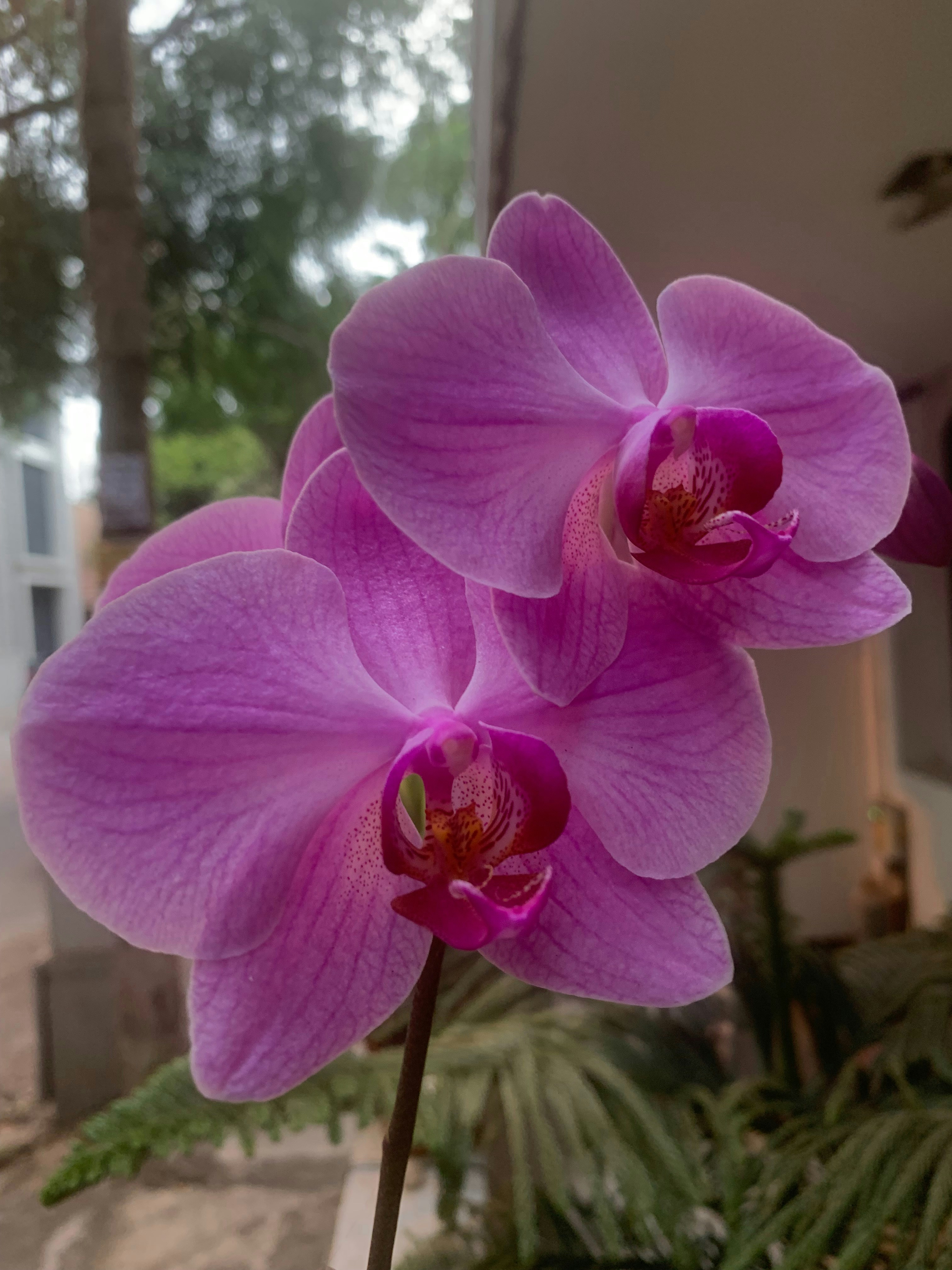 Gautham Arcot (@gauthamarcot) | Communauté photos Unsplash