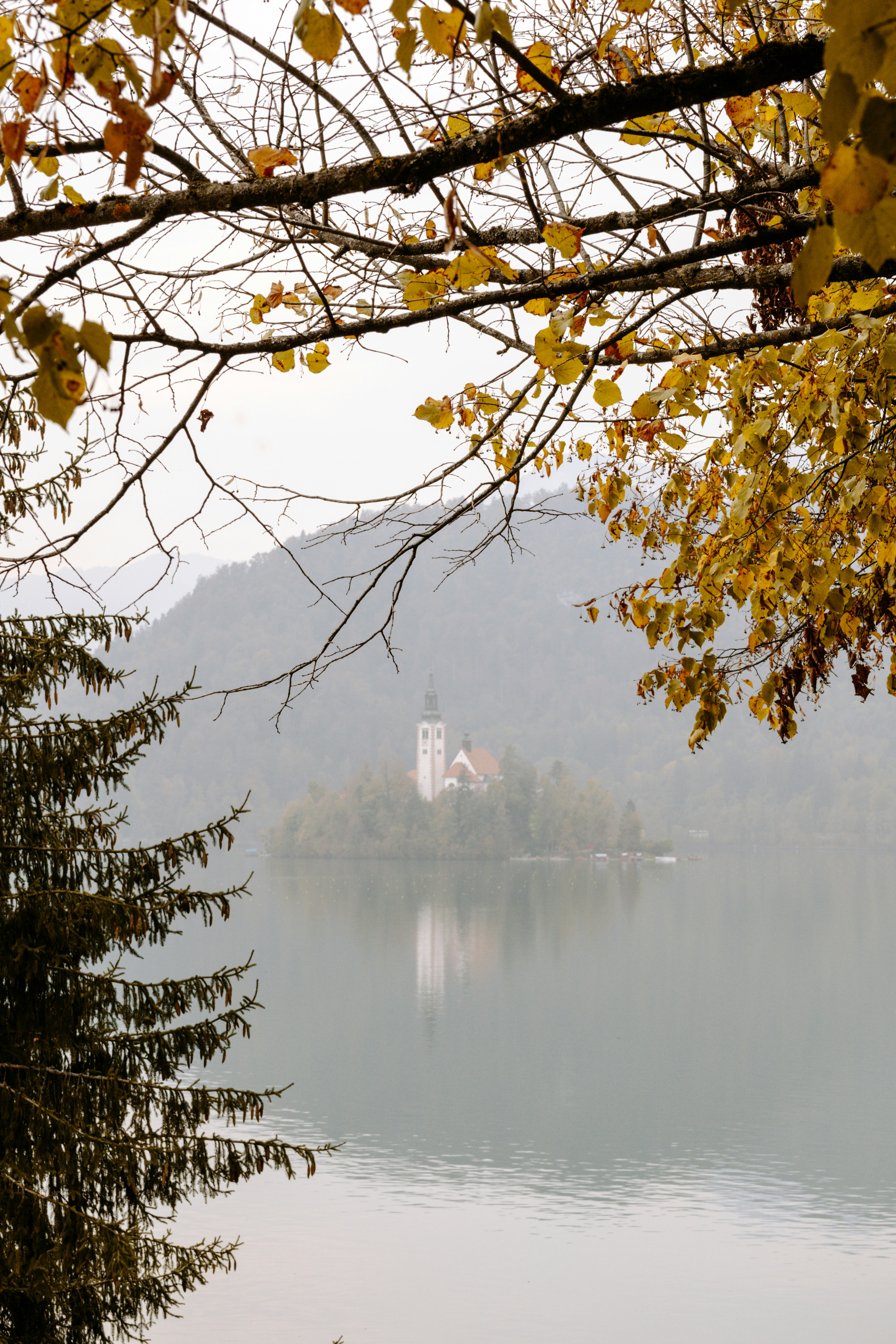 Photo by stachmann