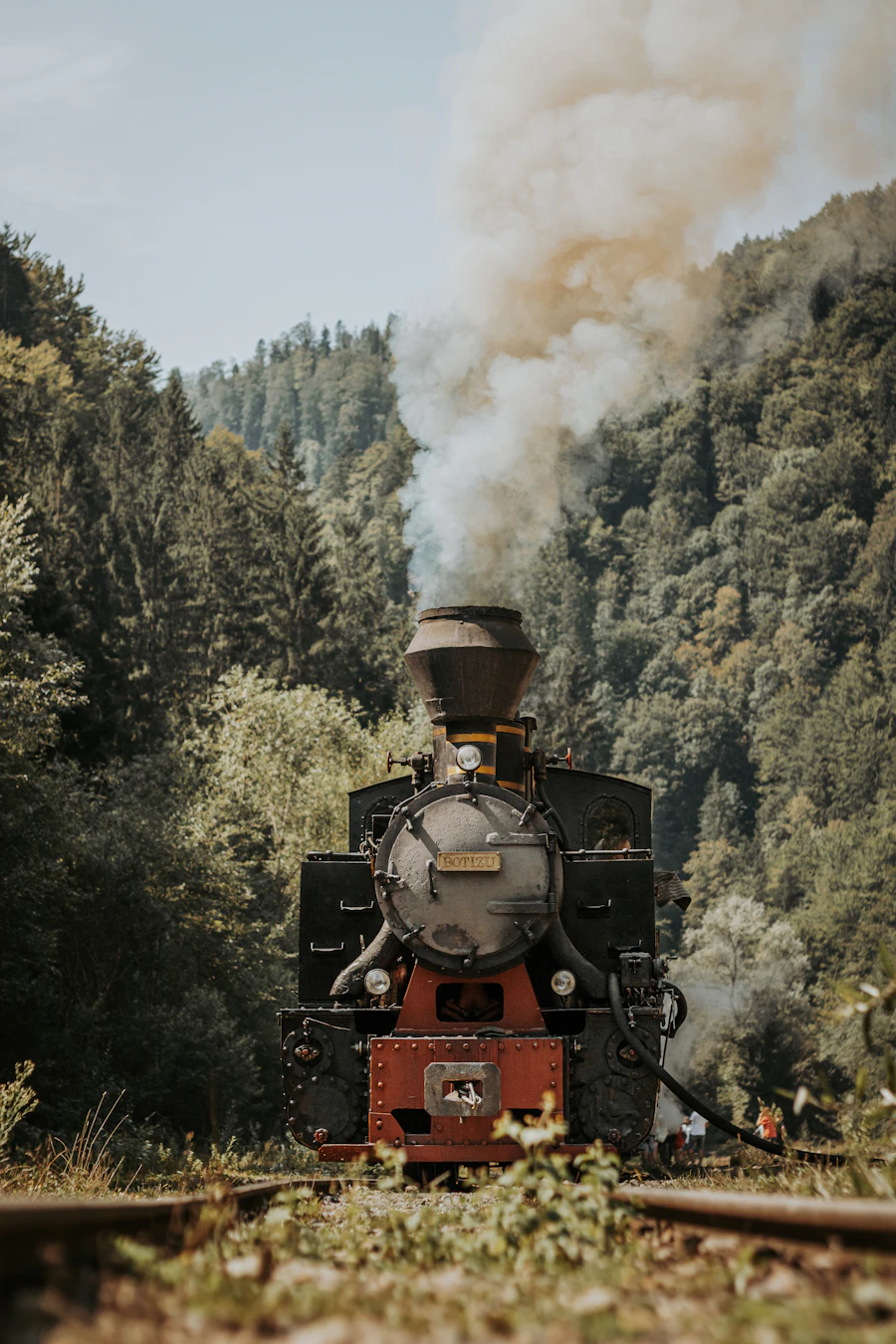 La Mocănița, train à vapeur dans la vallée de la Vaser
