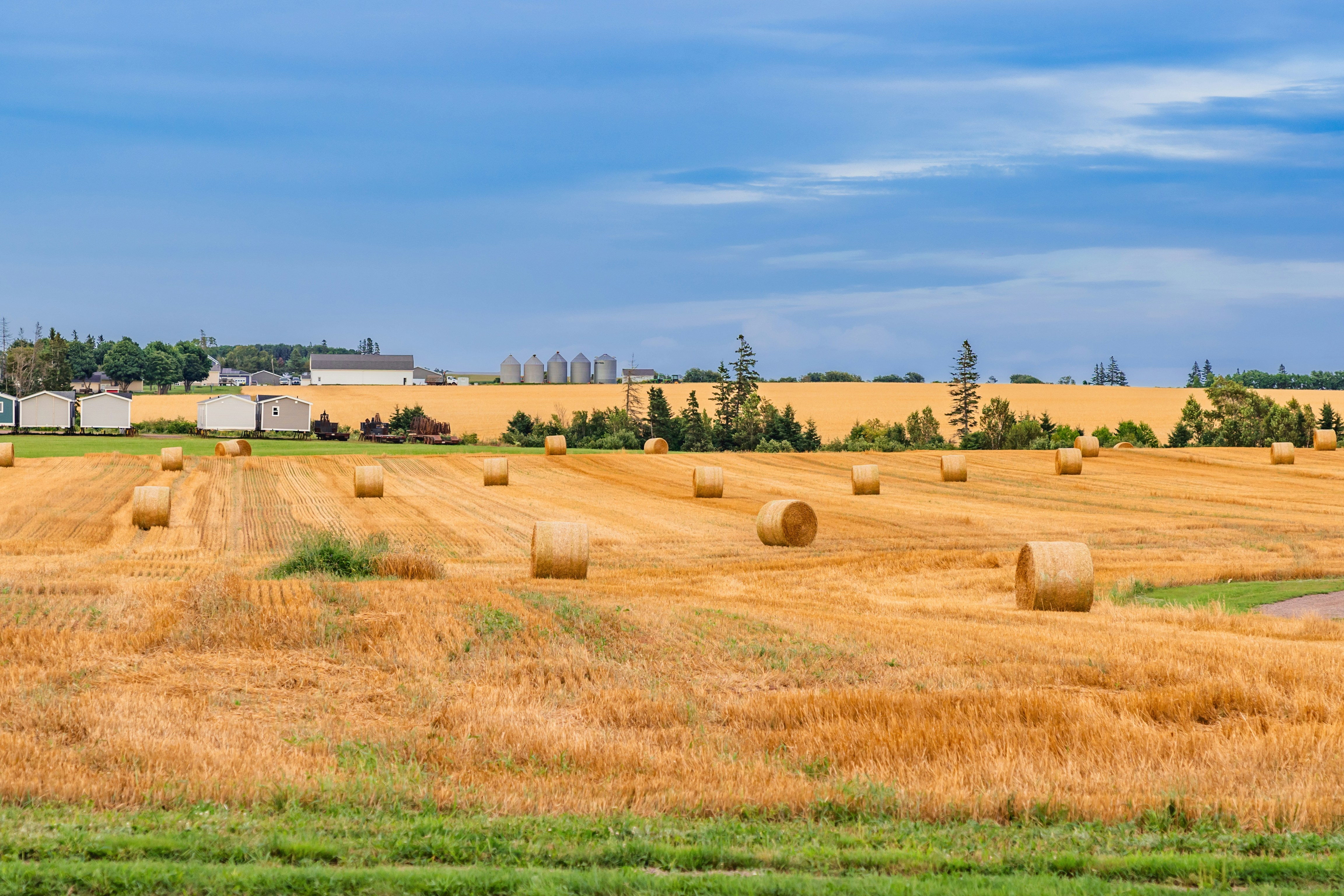 Photo by suzanne_ella