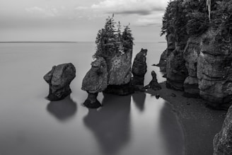 A black and white photo of some rocks in the water