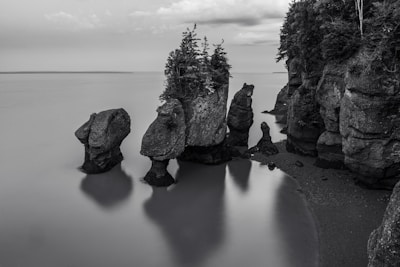 A black and white photo of some rocks in the water