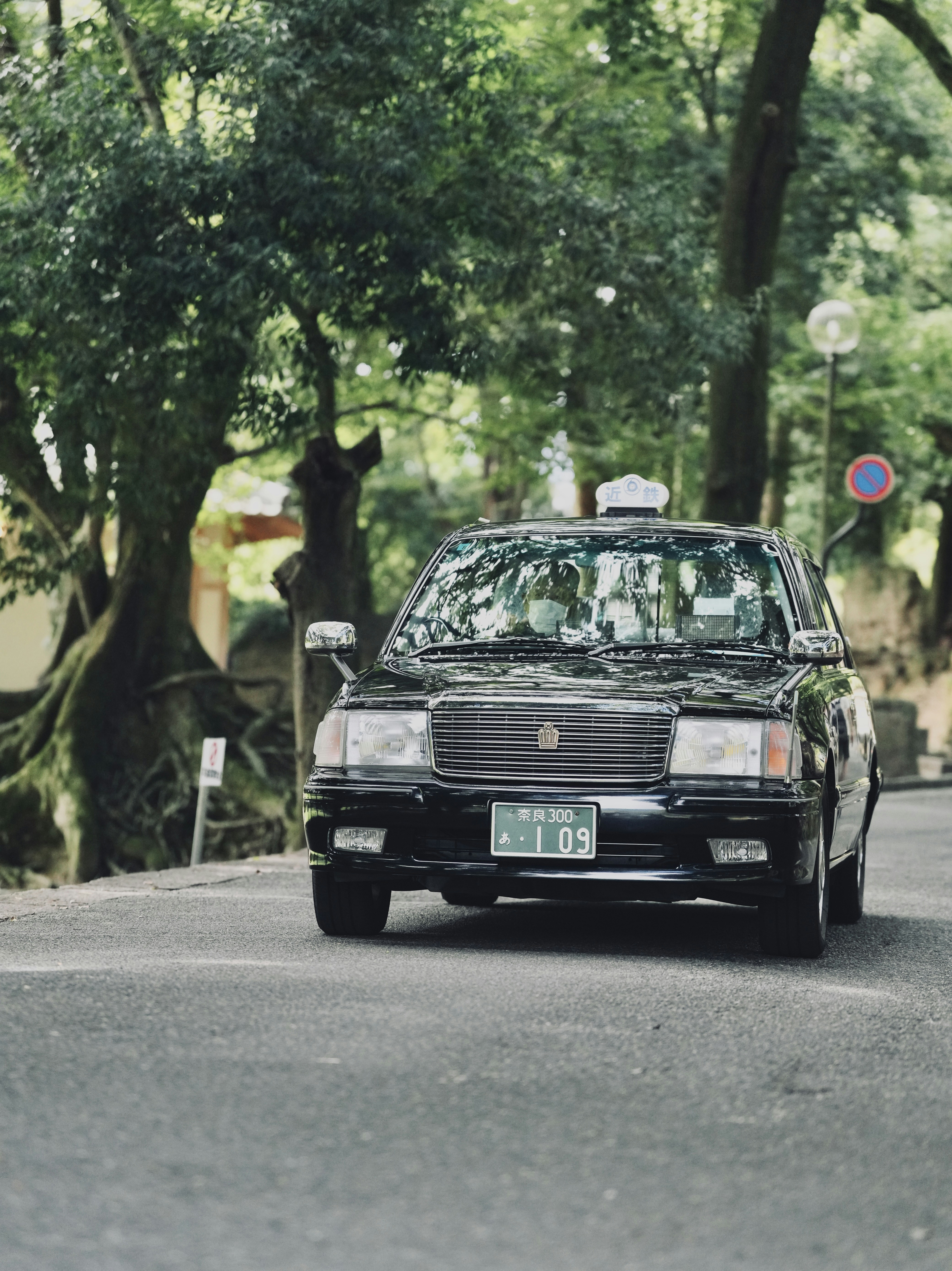 Photo by treesan