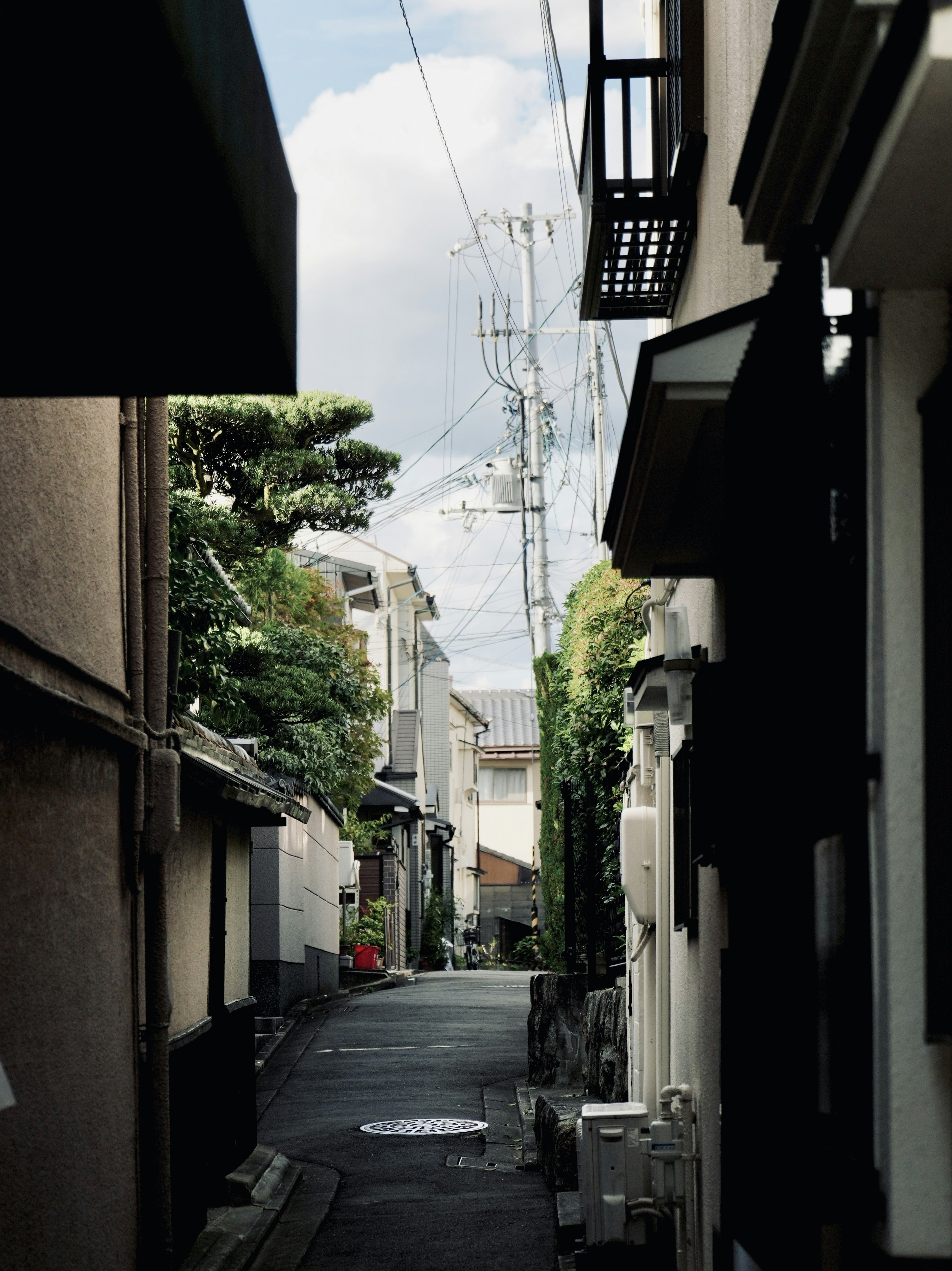 Photo by treesan
