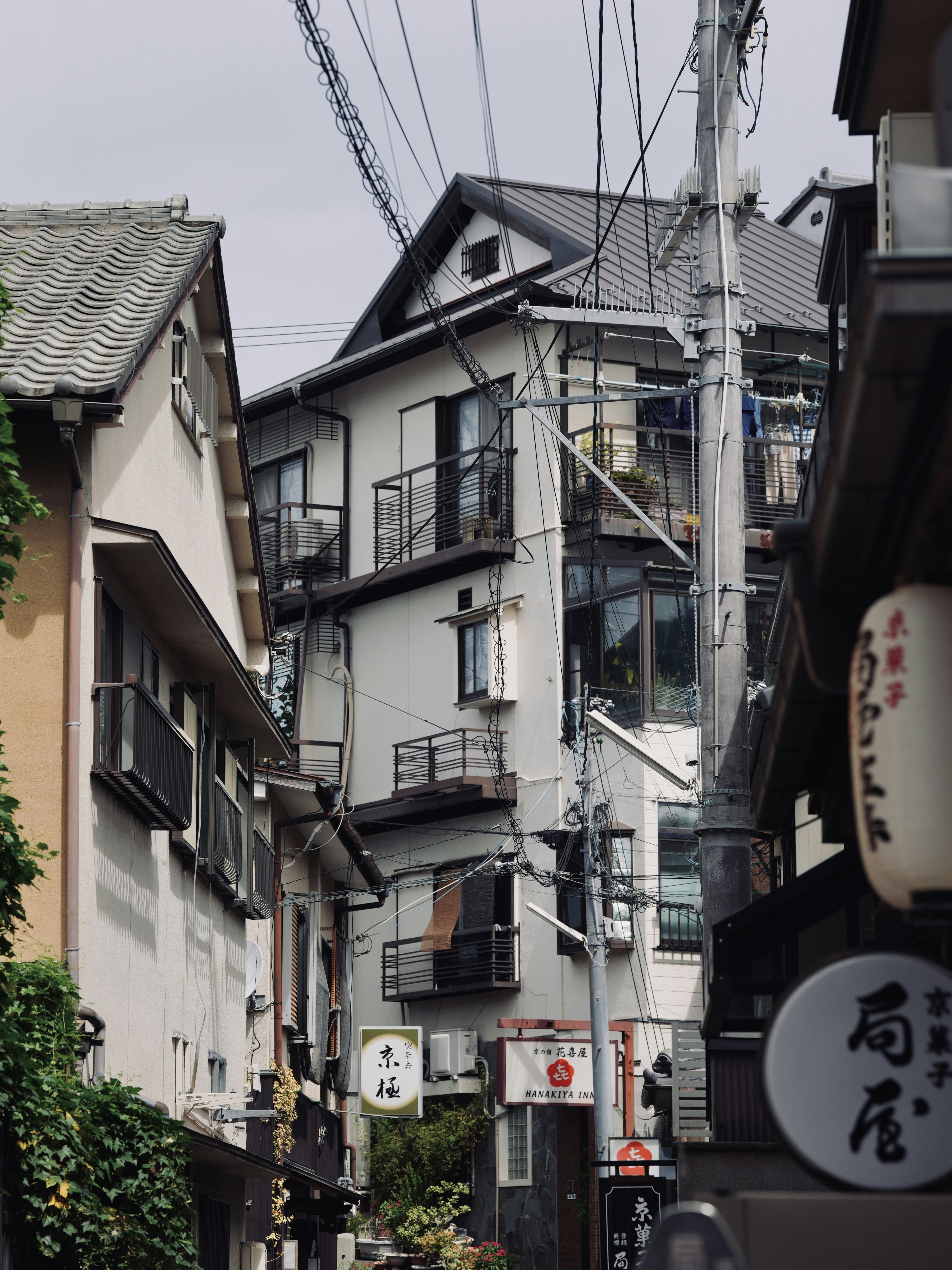 Photo by treesan