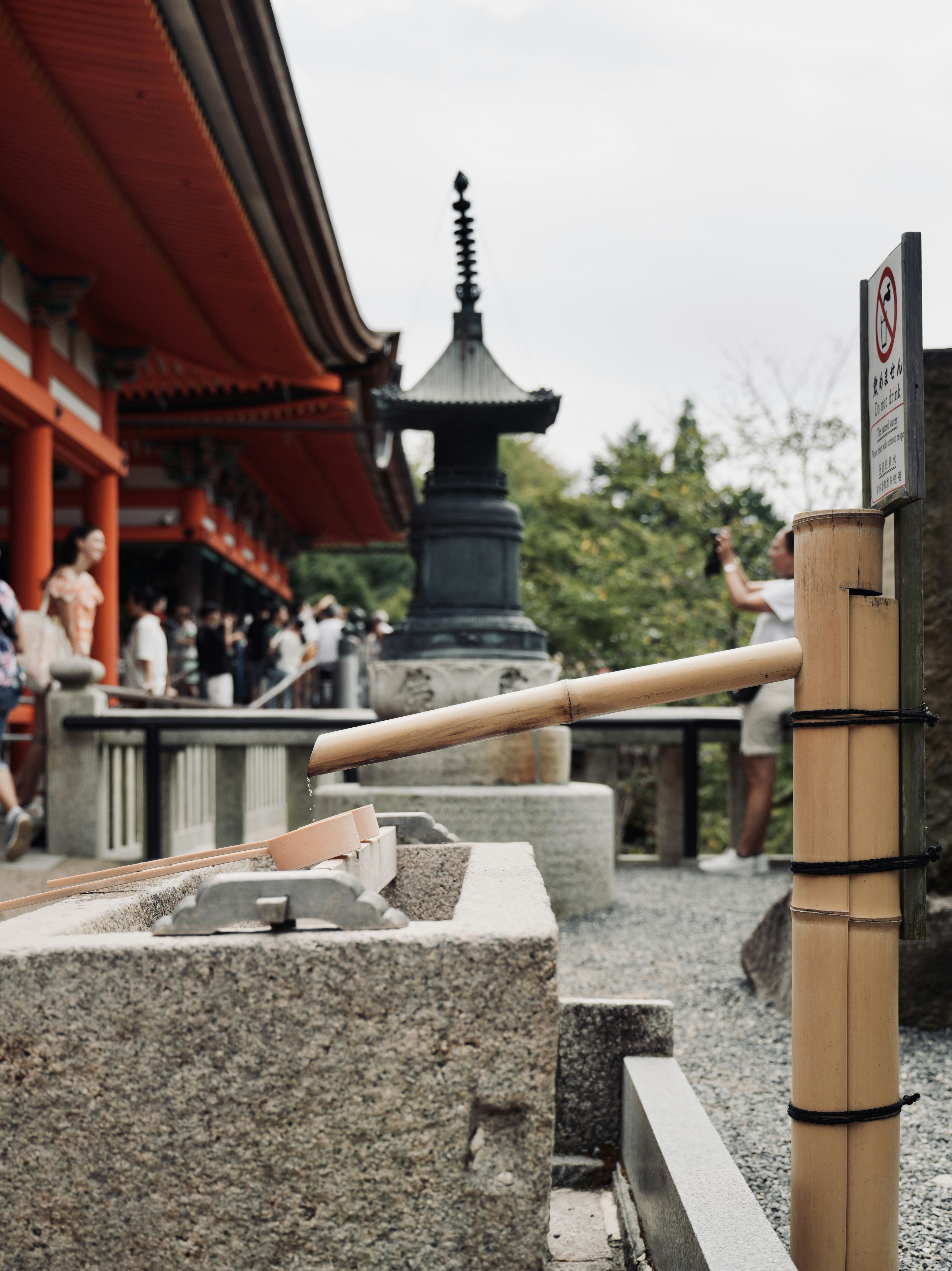 Photo by treesan